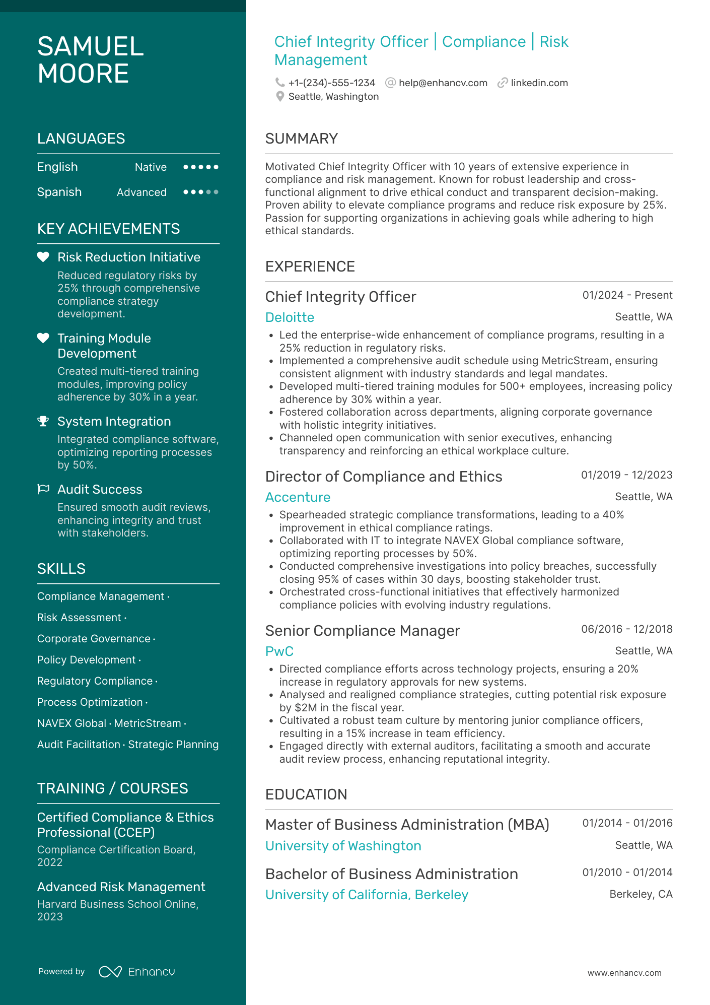 Chief Integrity Officer resume example