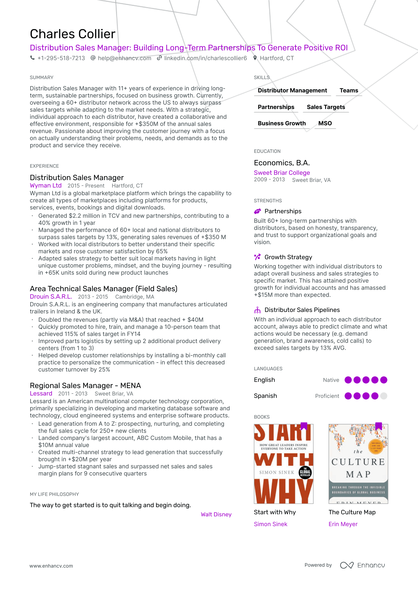 distribution sales manager resume example
