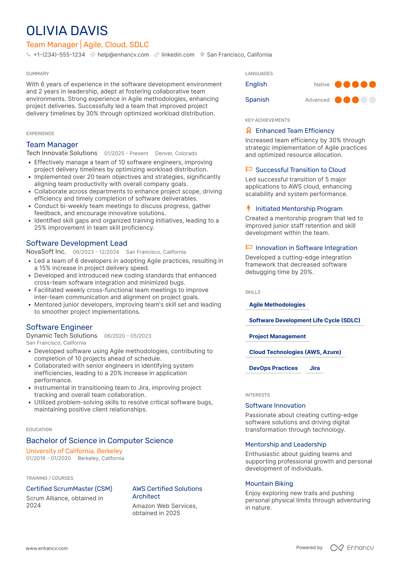 Team Manager resume example