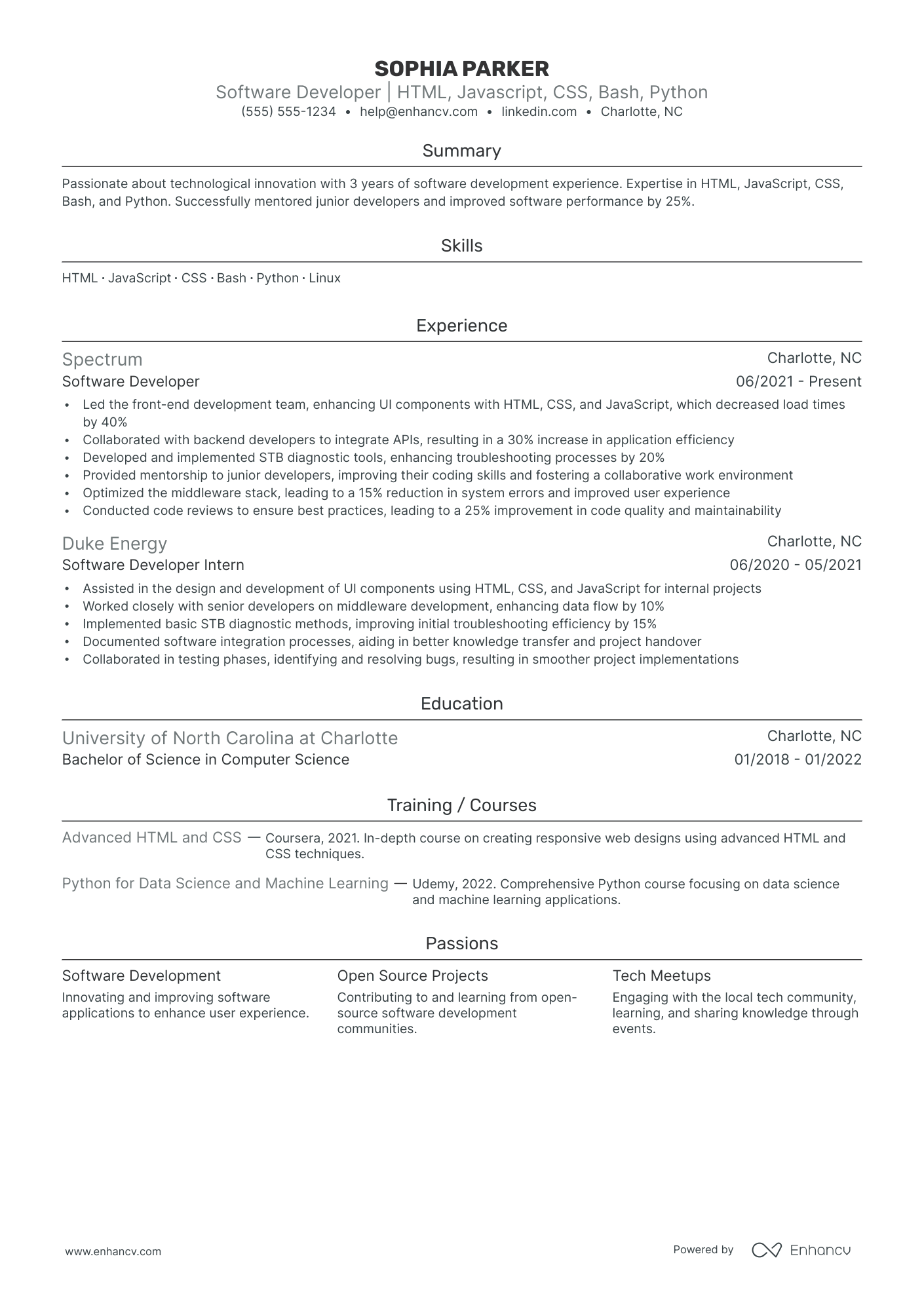 Lead Python Developer resume example