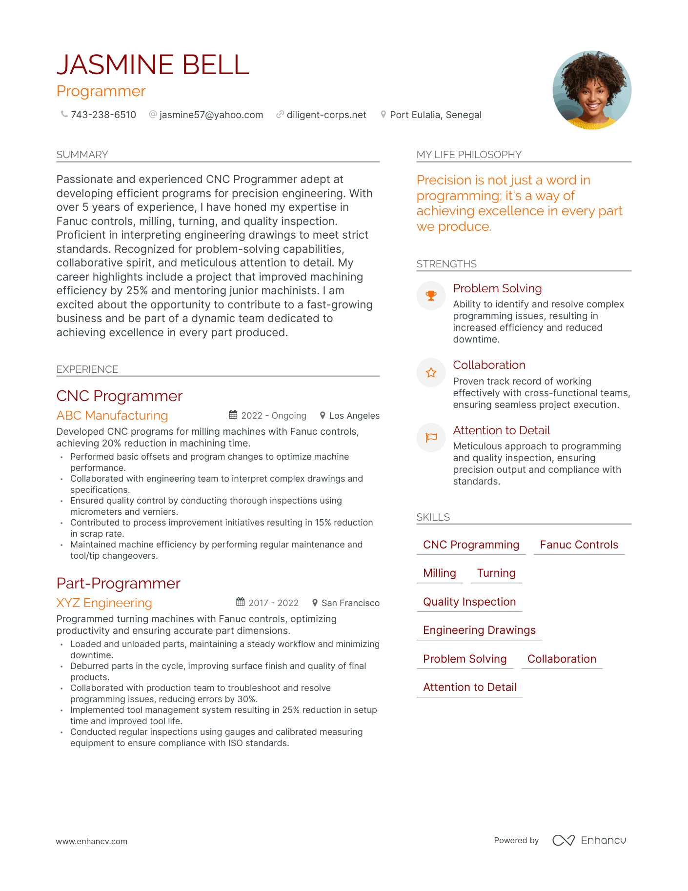 Programmer resume example