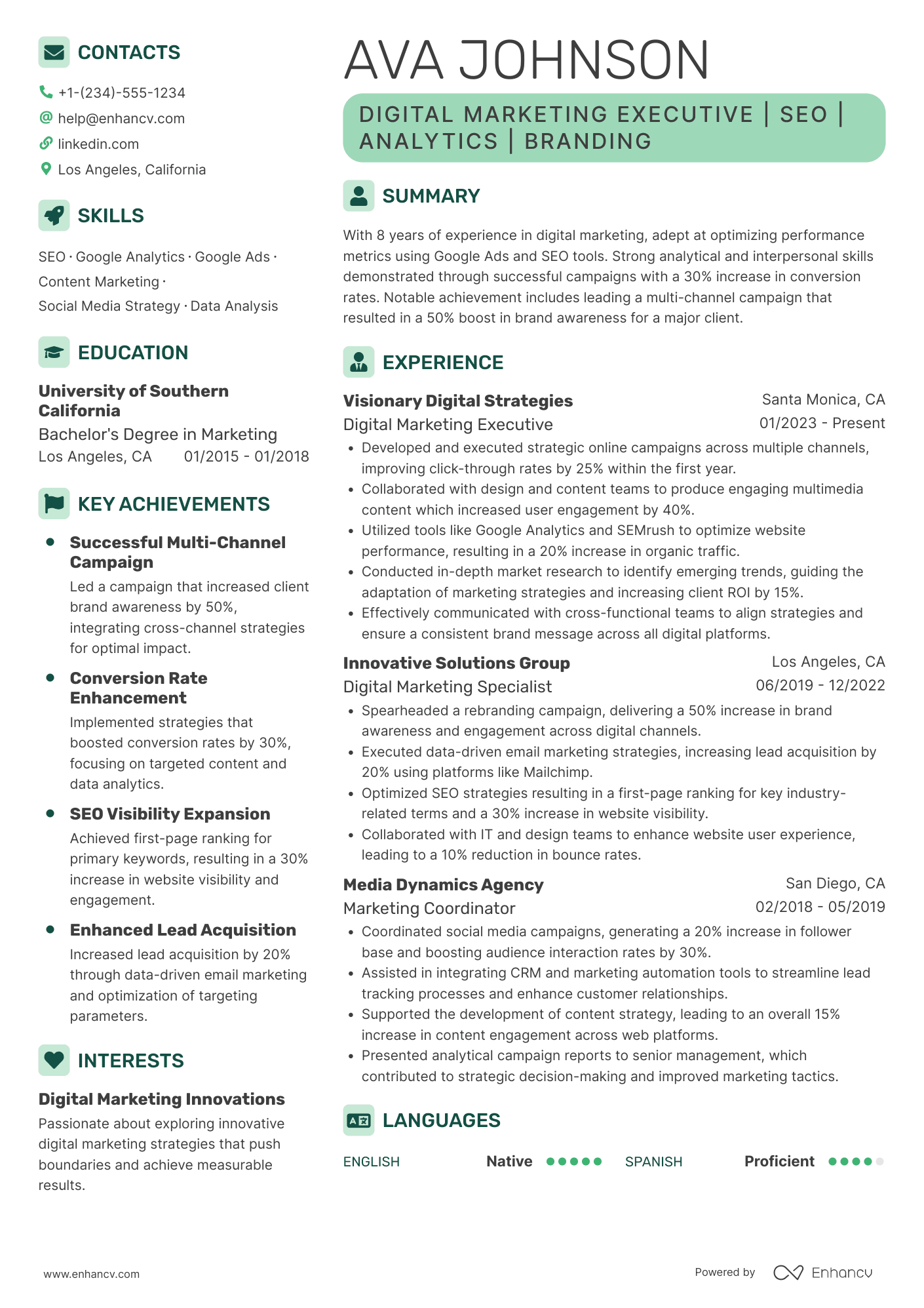 Digital Marketing Executive resume example