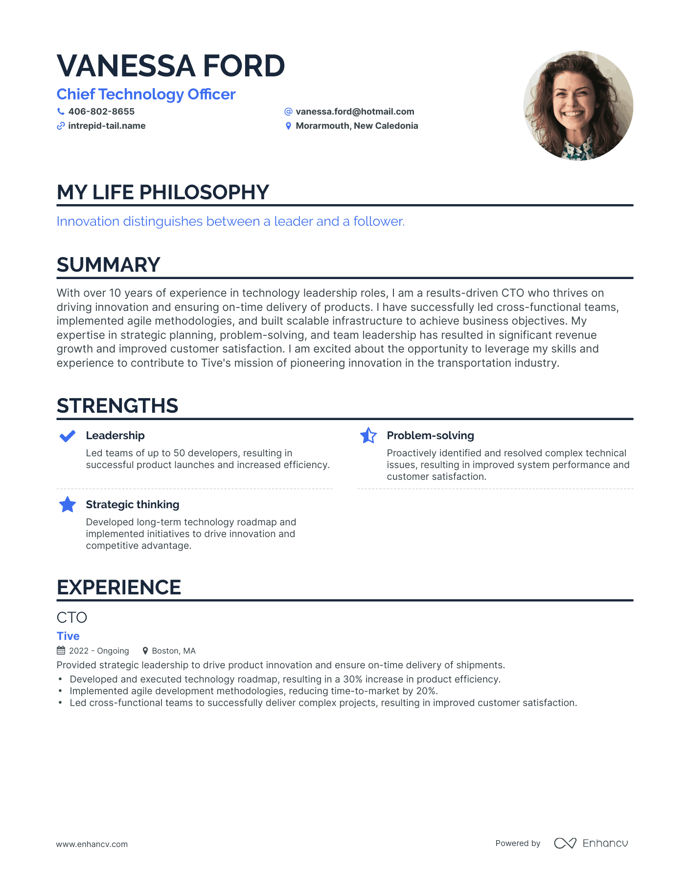 Creative Chief Technology Officer Resume Example