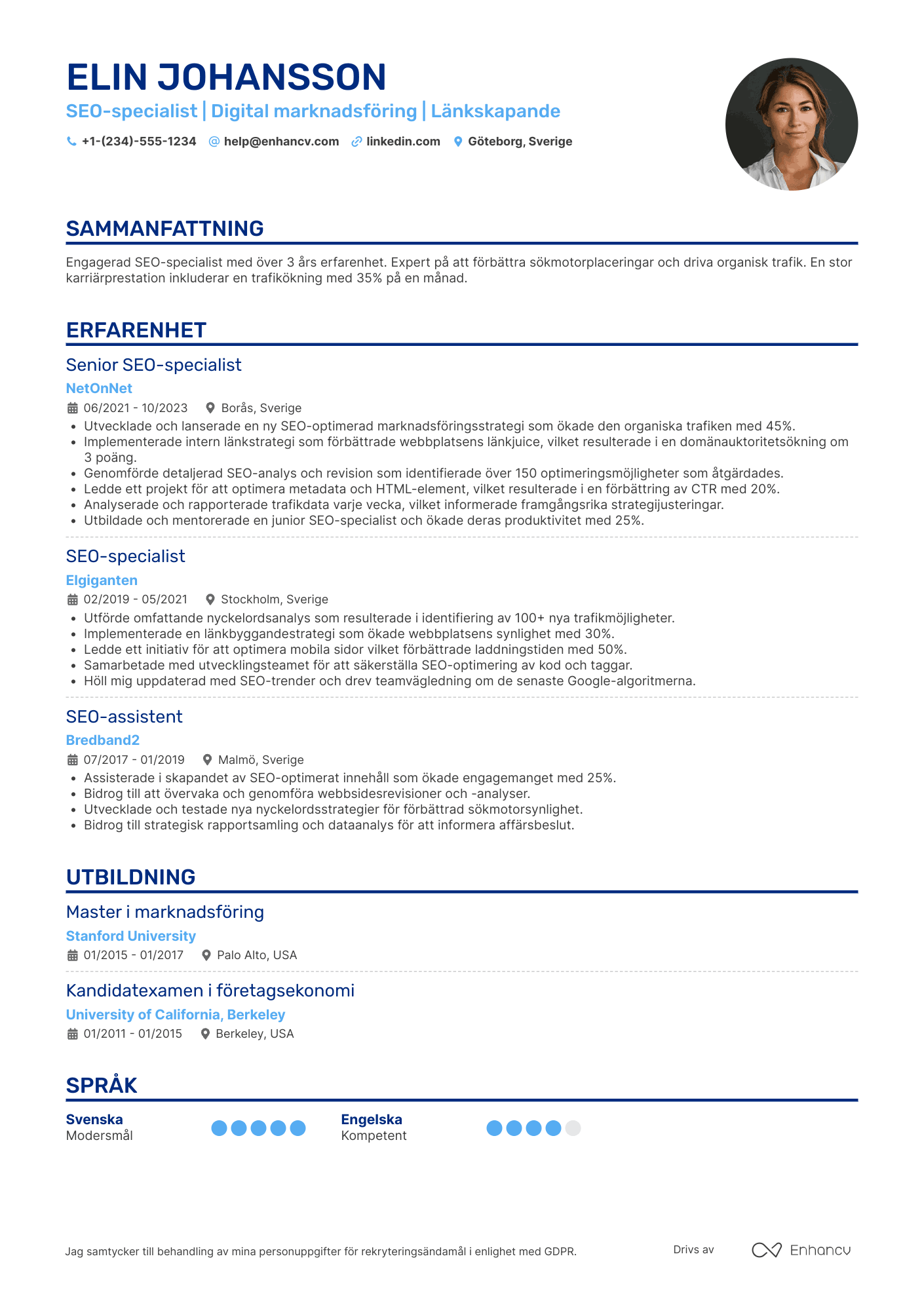 SEO CV
