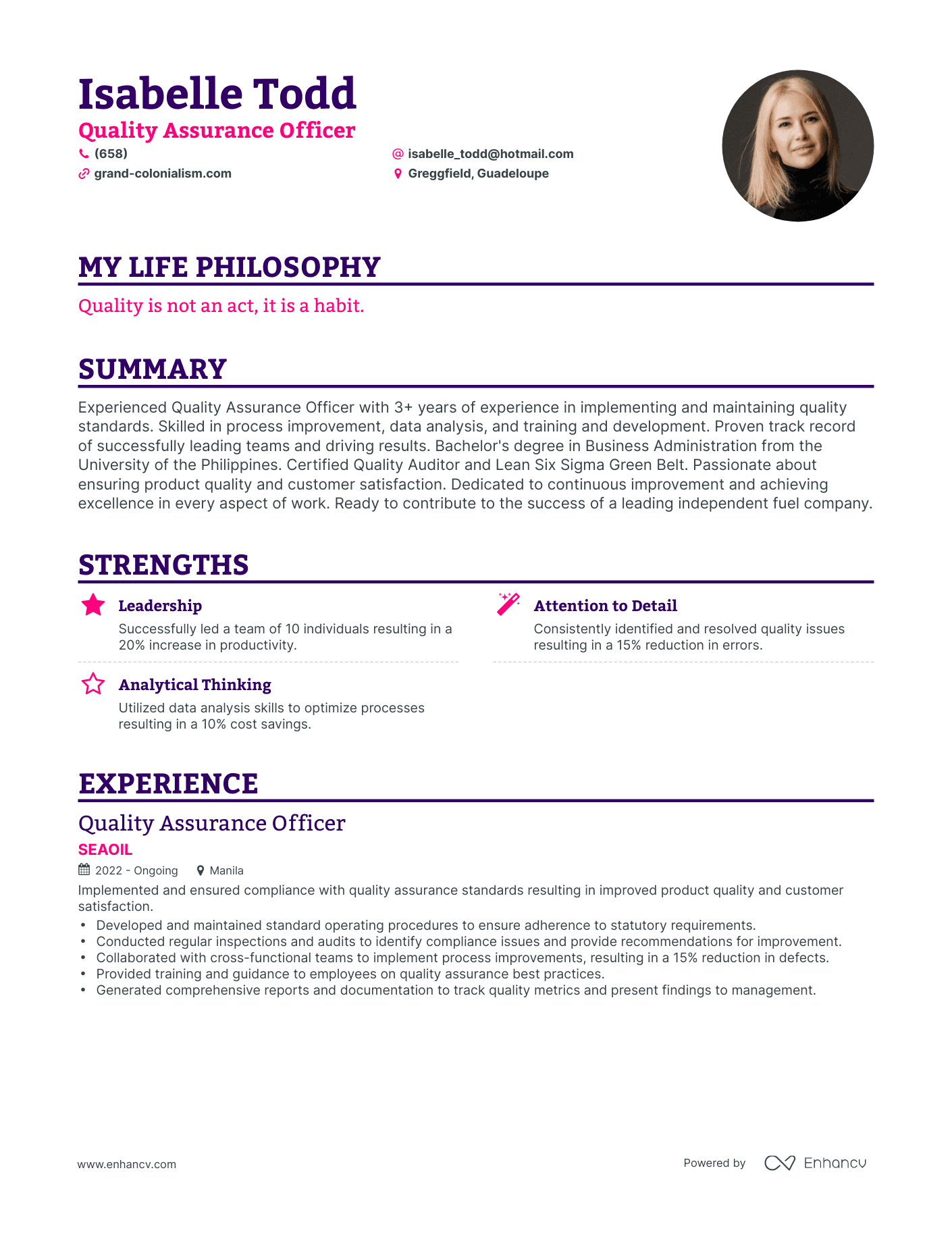 Creative Quality Assurance Officer Resume Example