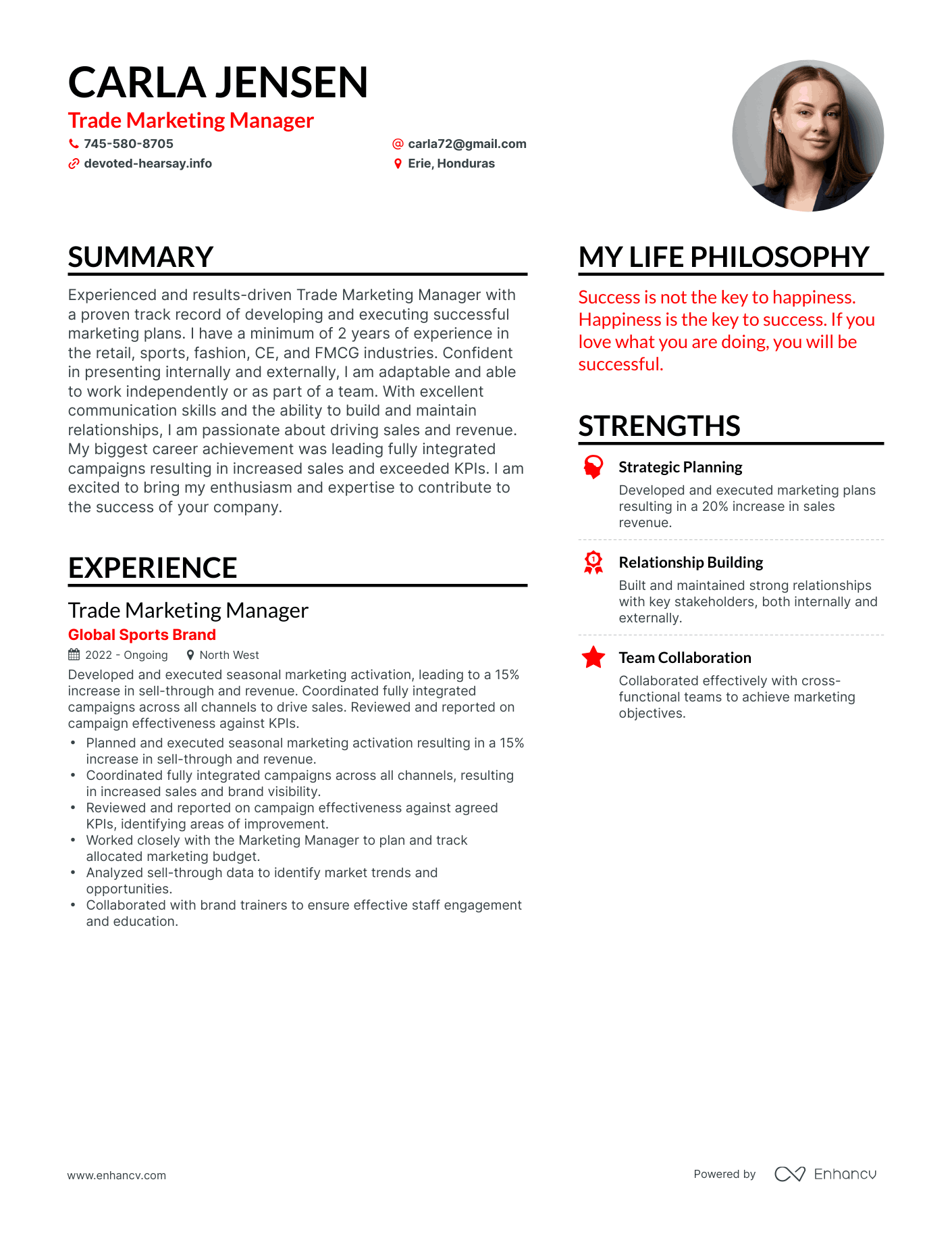 Trade Marketing Manager resume example