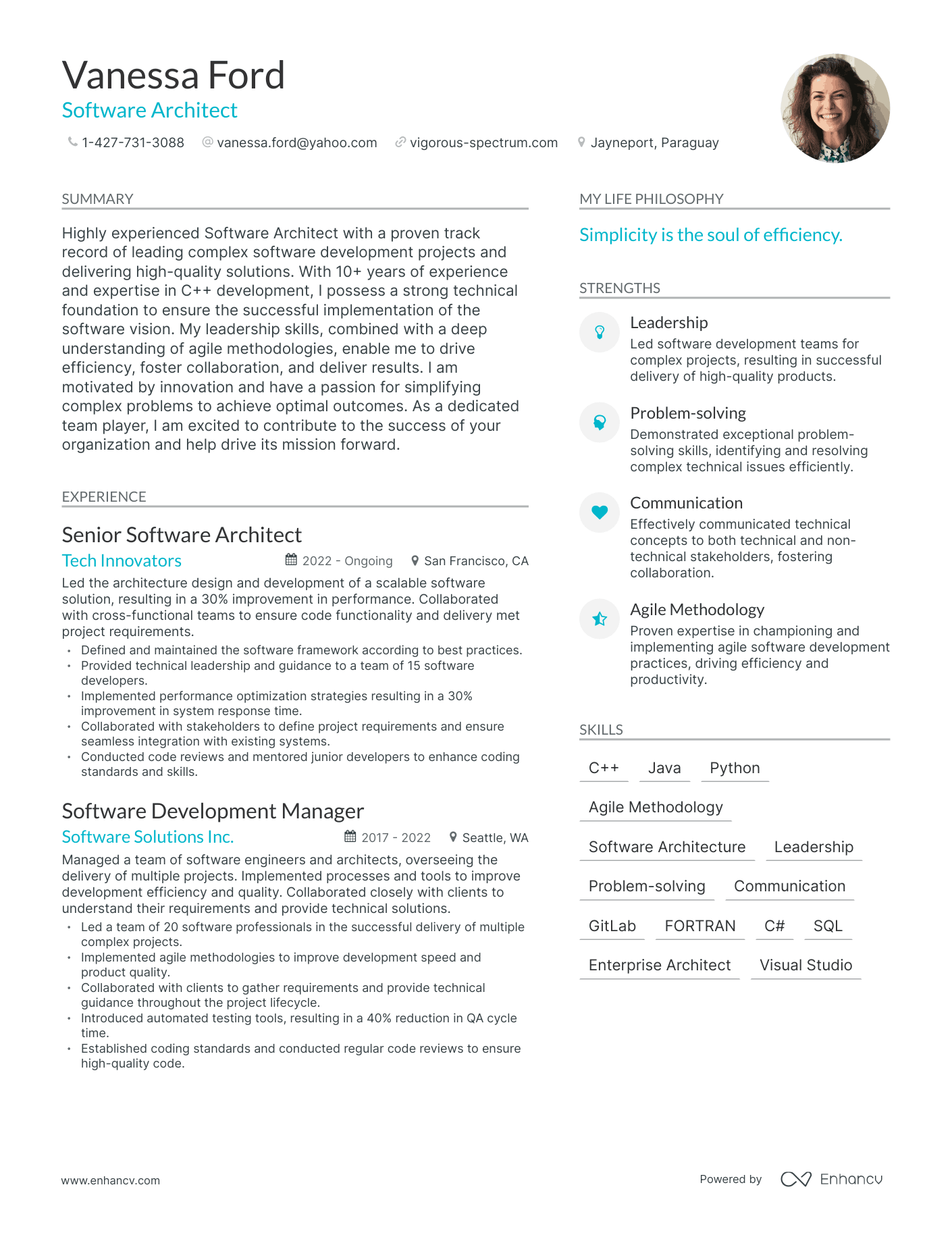 Modern Software Architect Resume Example