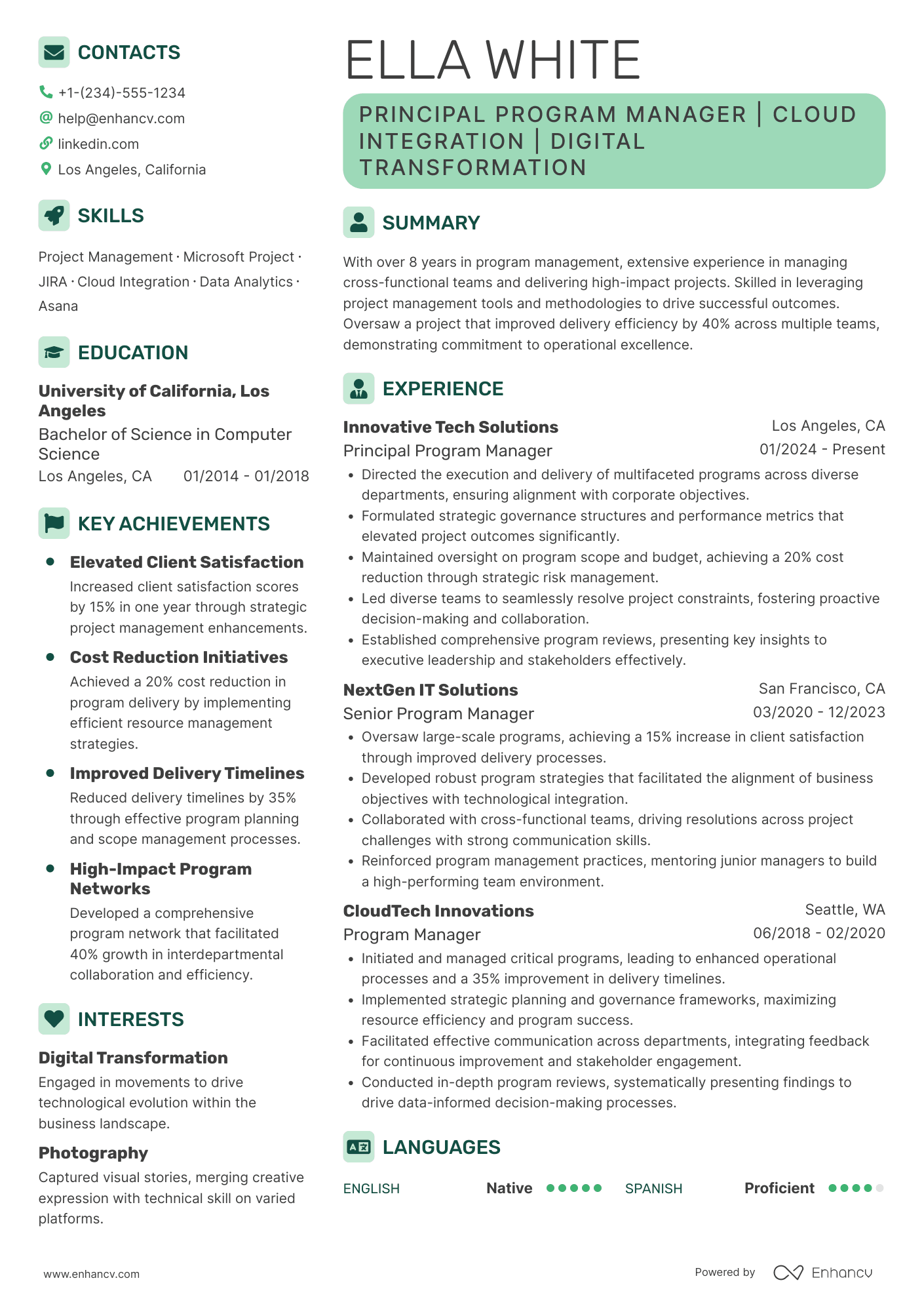 Principal Program Manager resume example