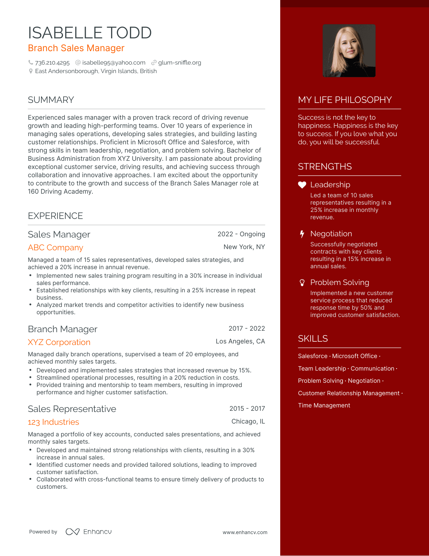 Branch Sales Manager resume example