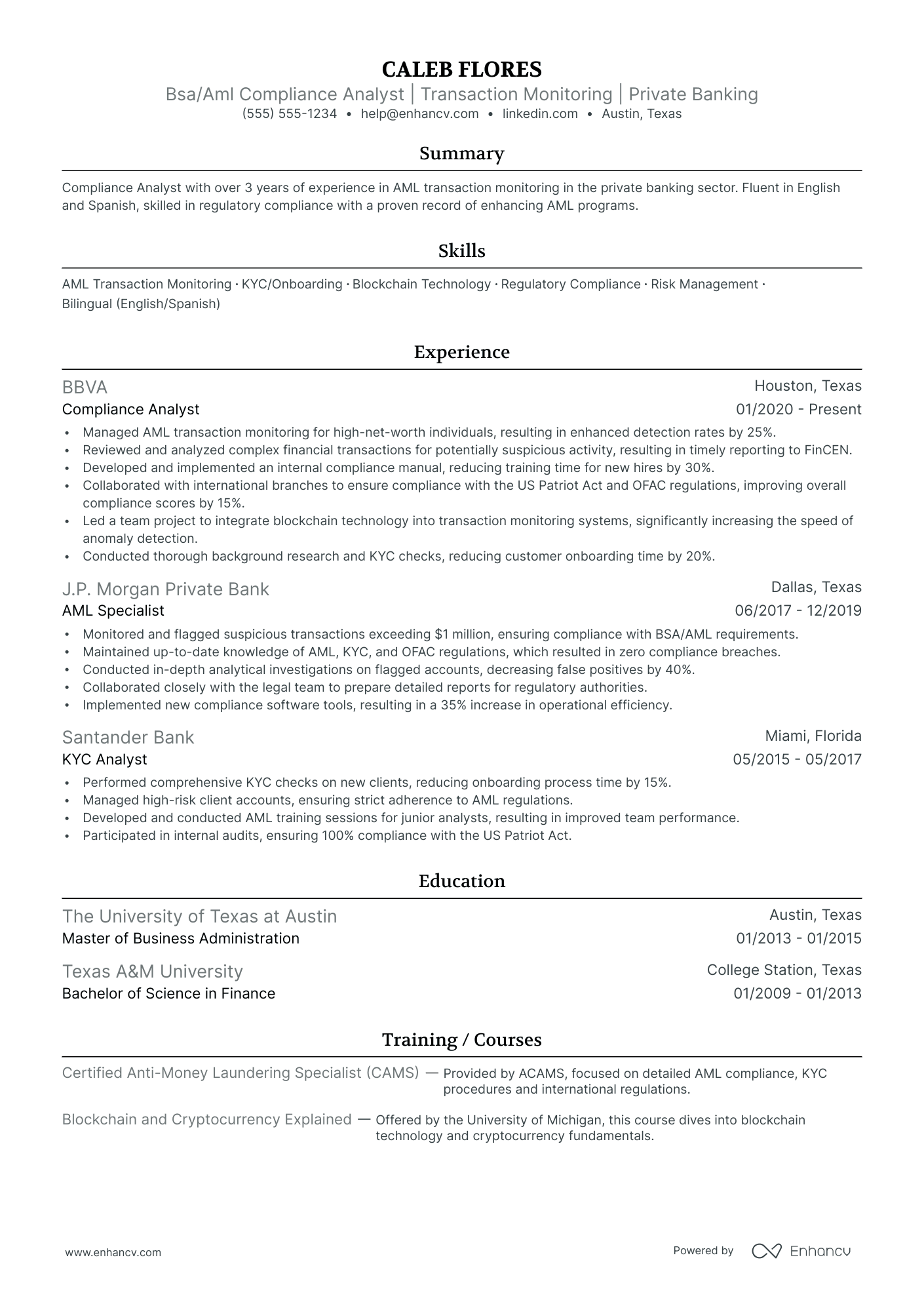 Junior AML Analyst Resume Example Resume Example