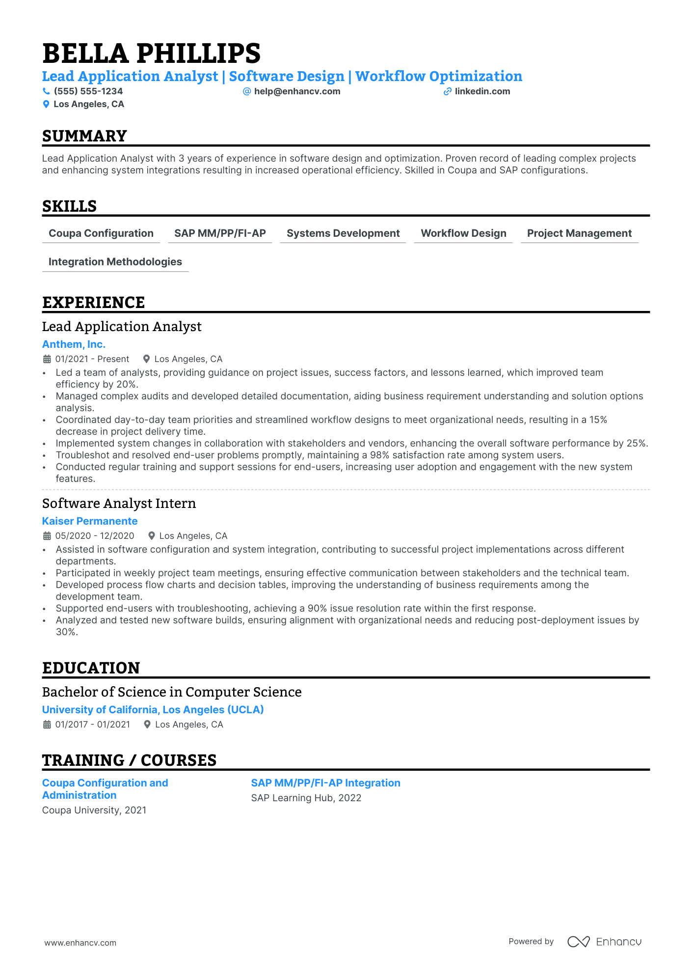 Team Lead Analyst resume example