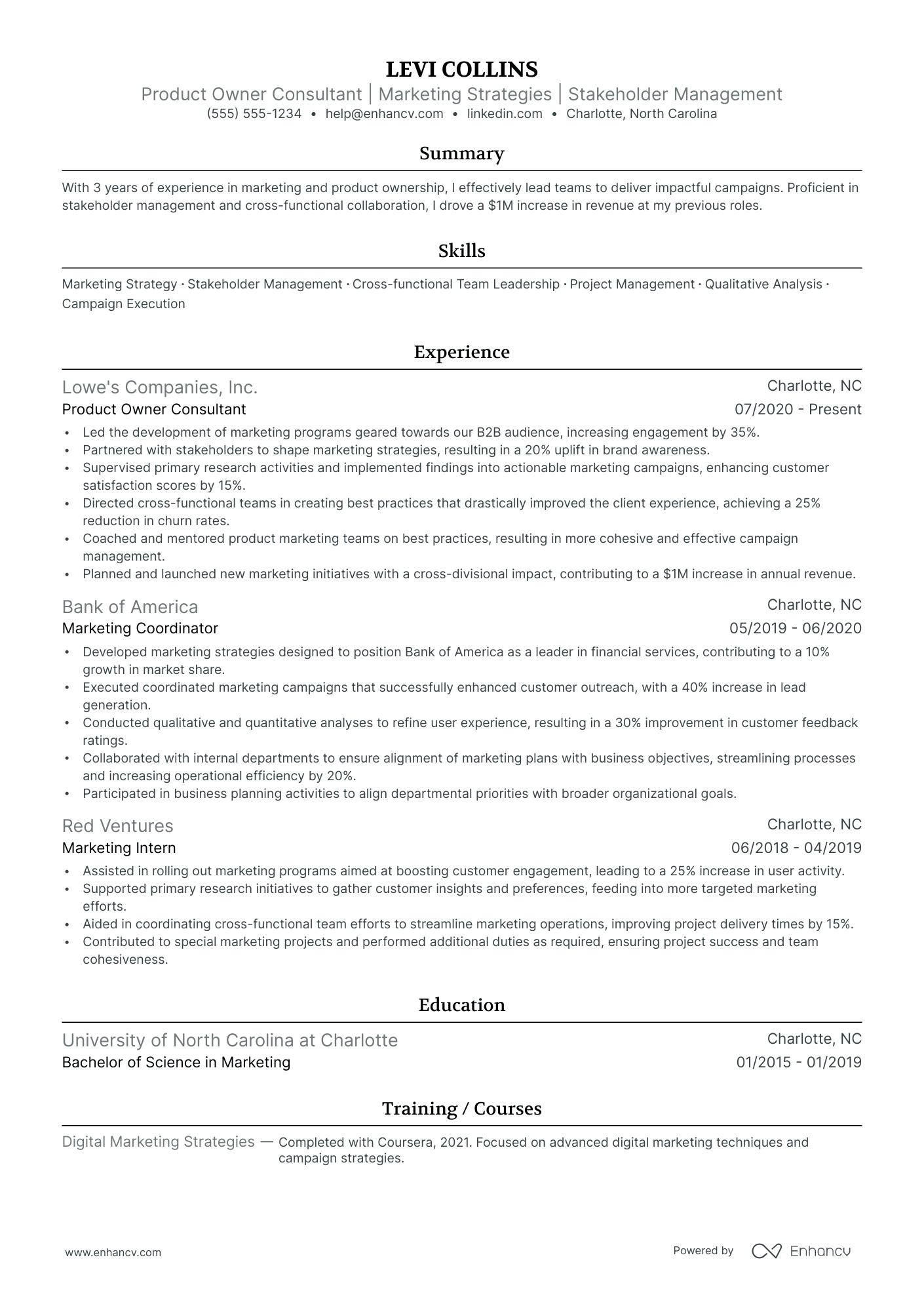 Product Owner Consultant Resume Example Resume Example