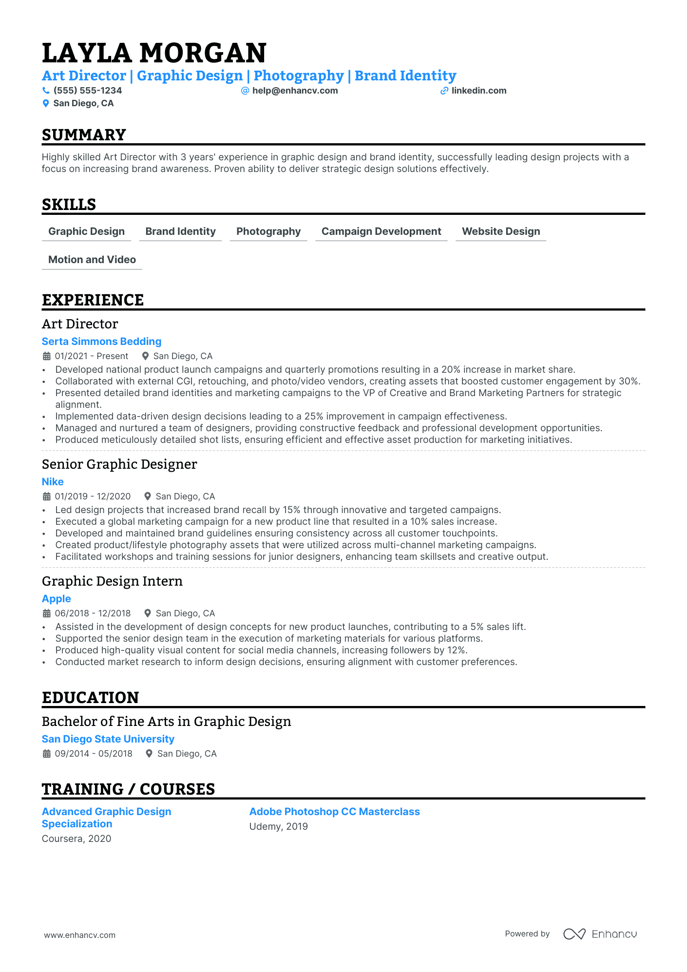 Advertising Art Director resume example