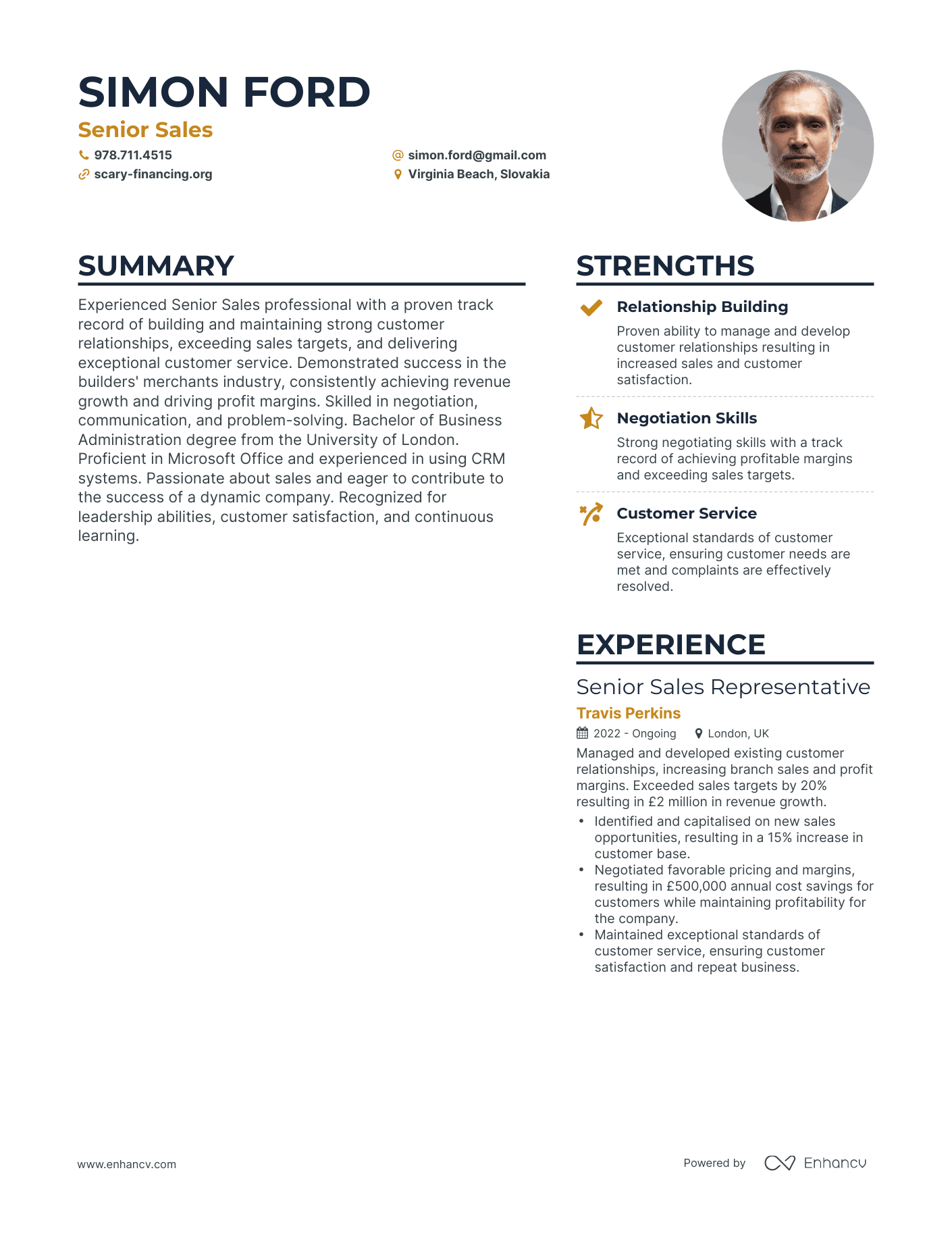 Senior Sales resume example