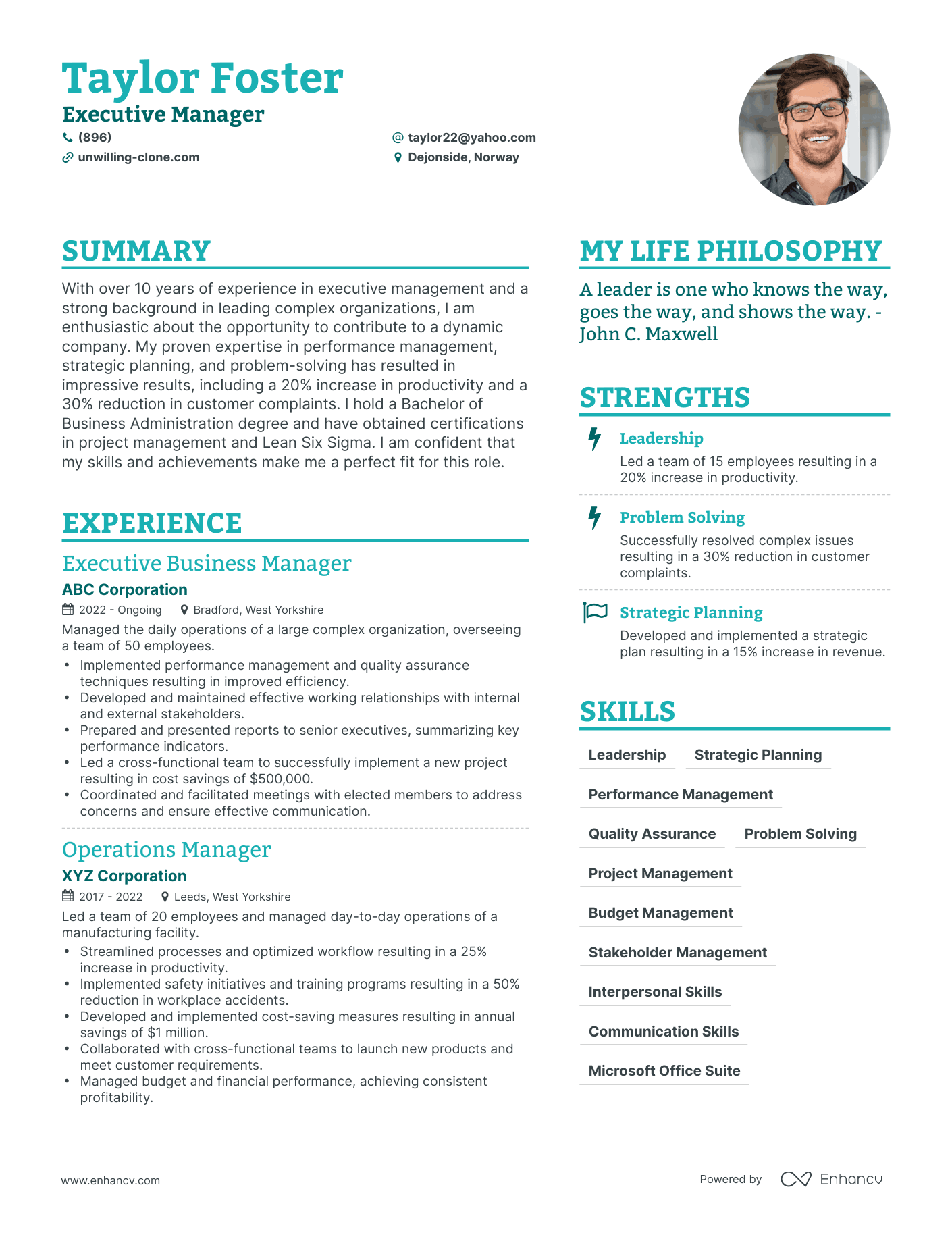 Modern Executive Manager Resume Example