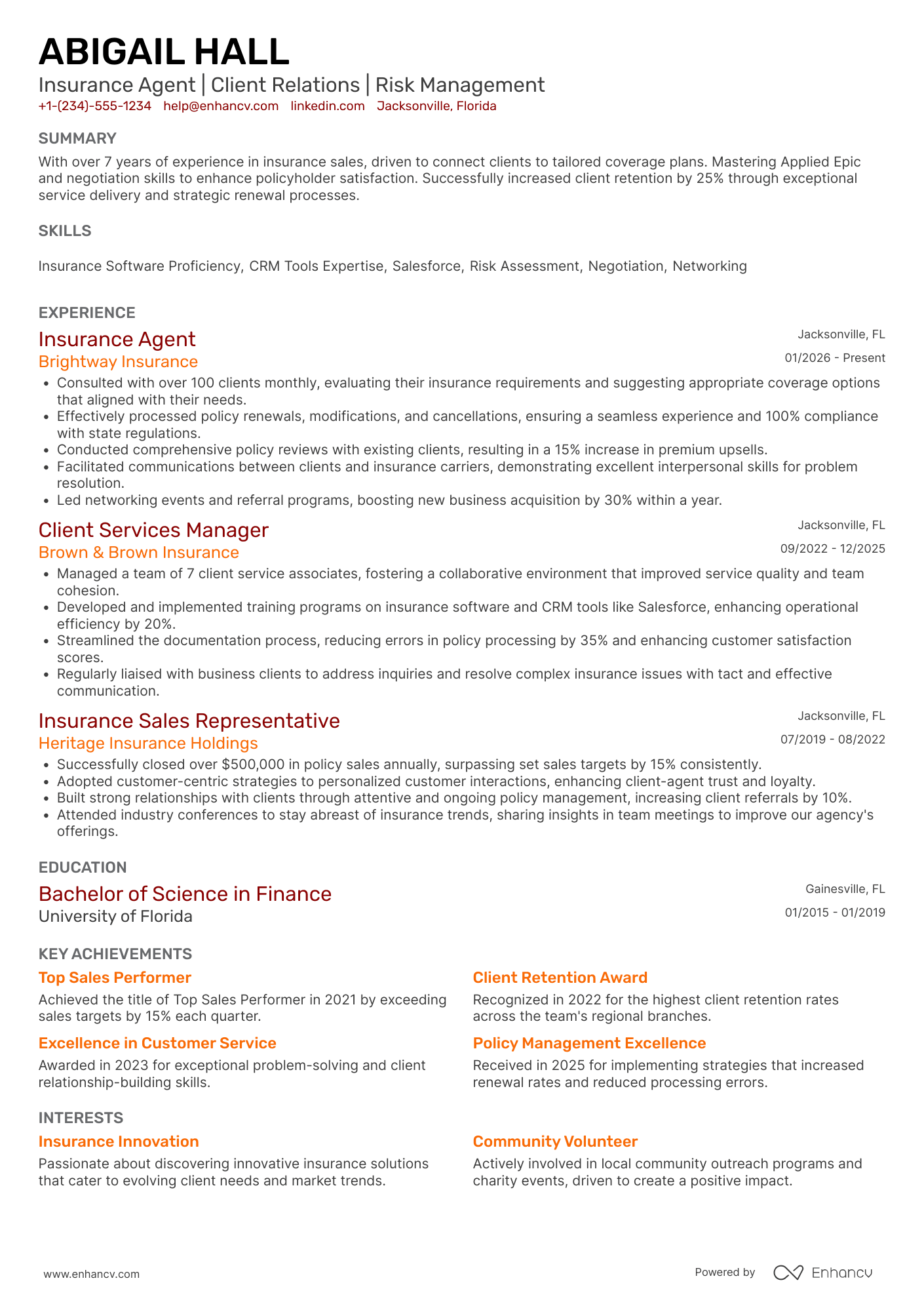 Insurance Agent resume example