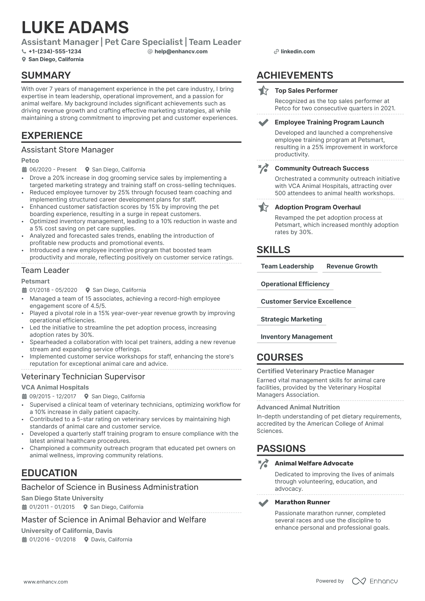 Resort Manager resume example