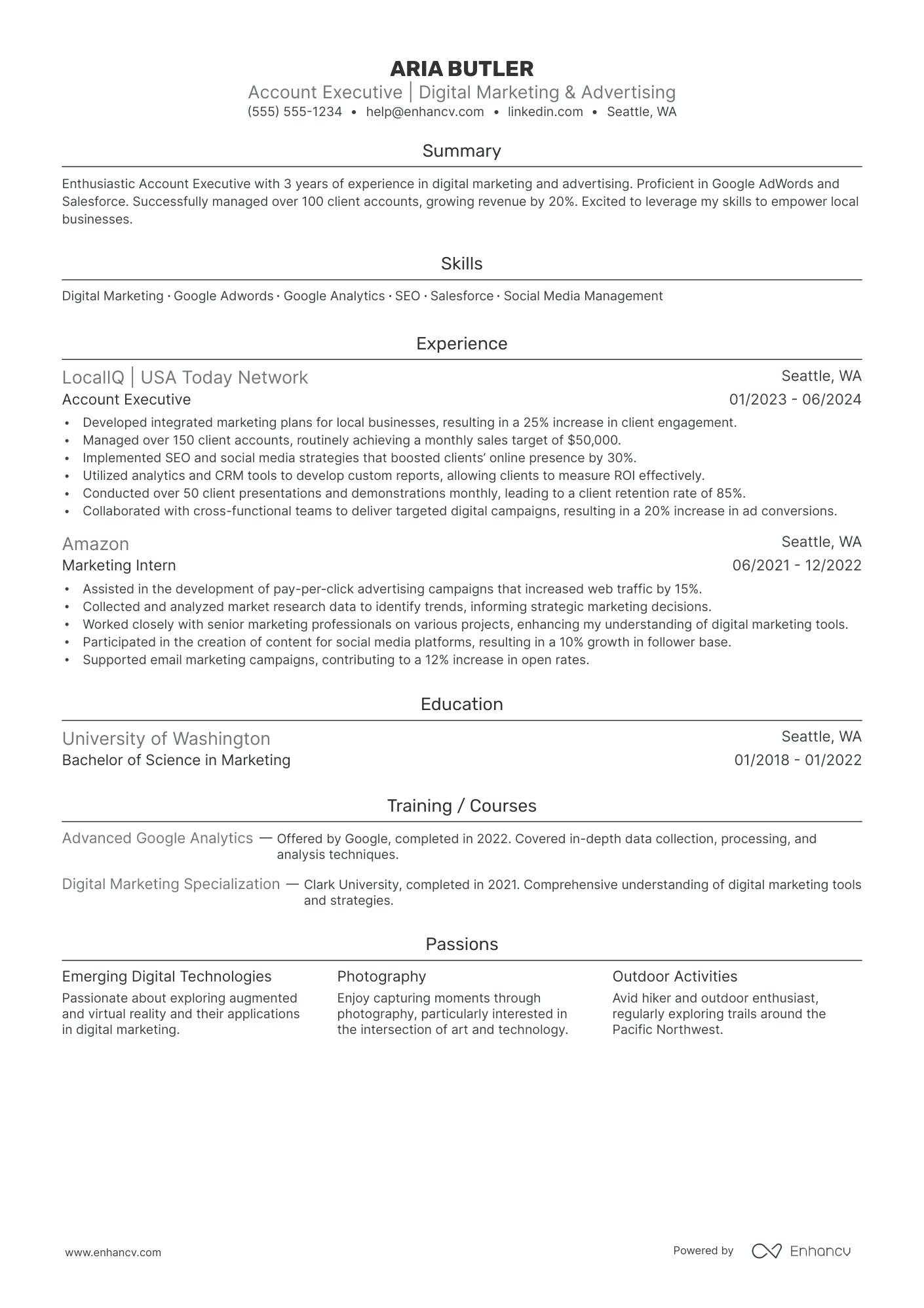 Digital Advertising Executive resume example