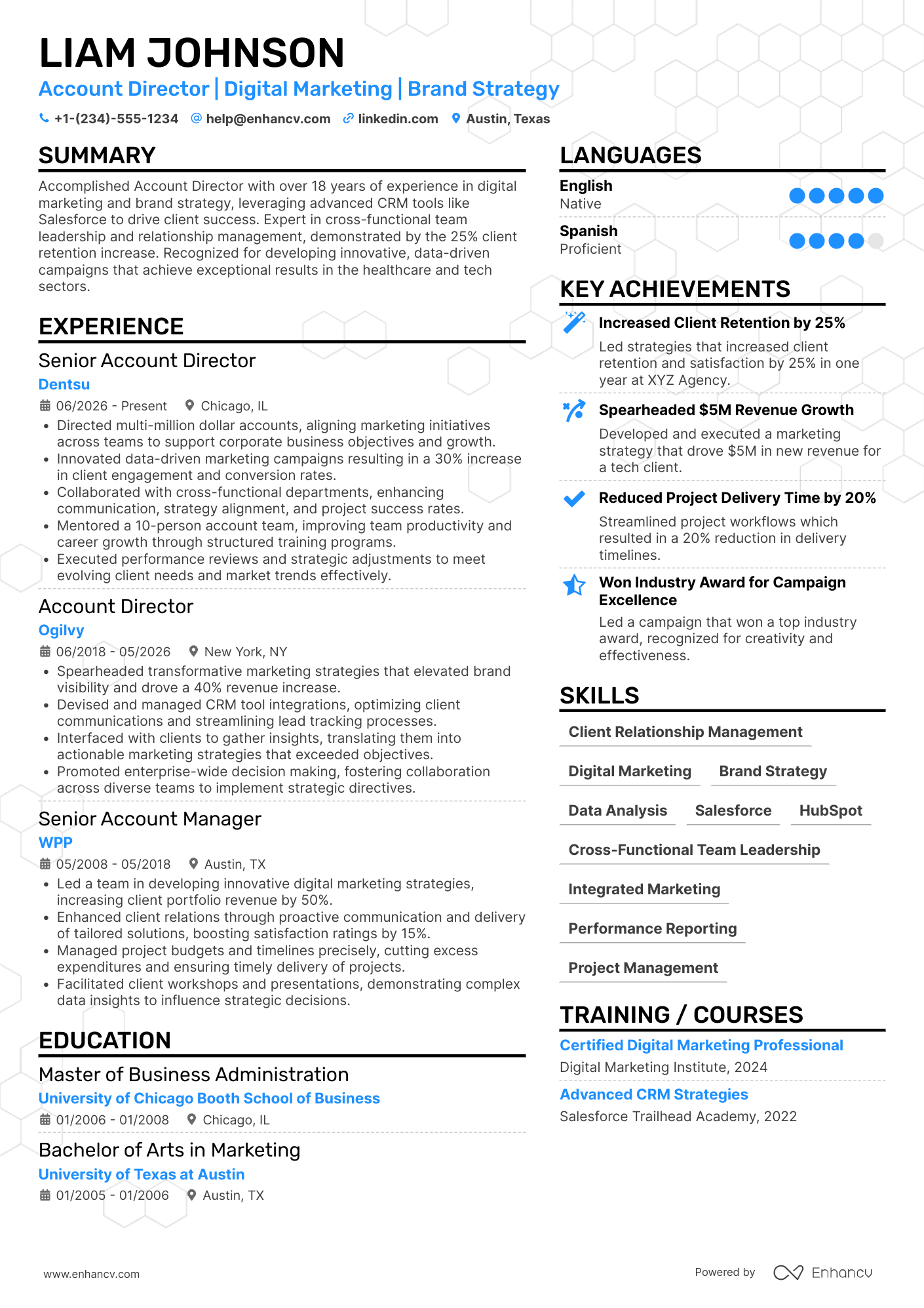 Account Director resume example