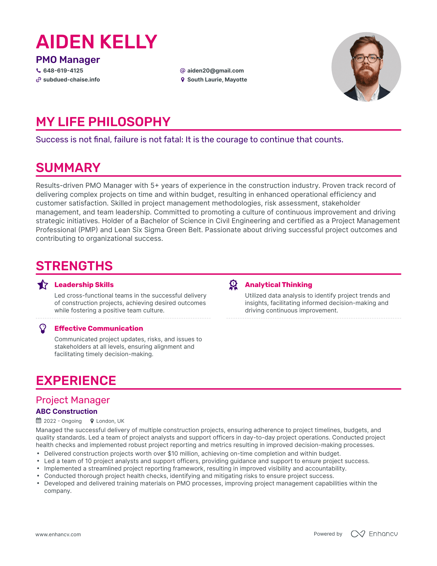 Creative PMO Manager Resume Example