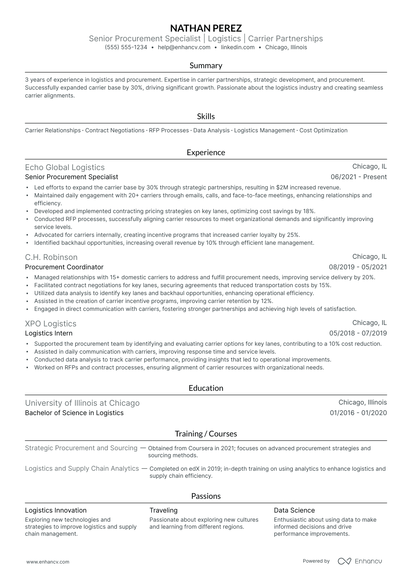 Procurement Executive resume example