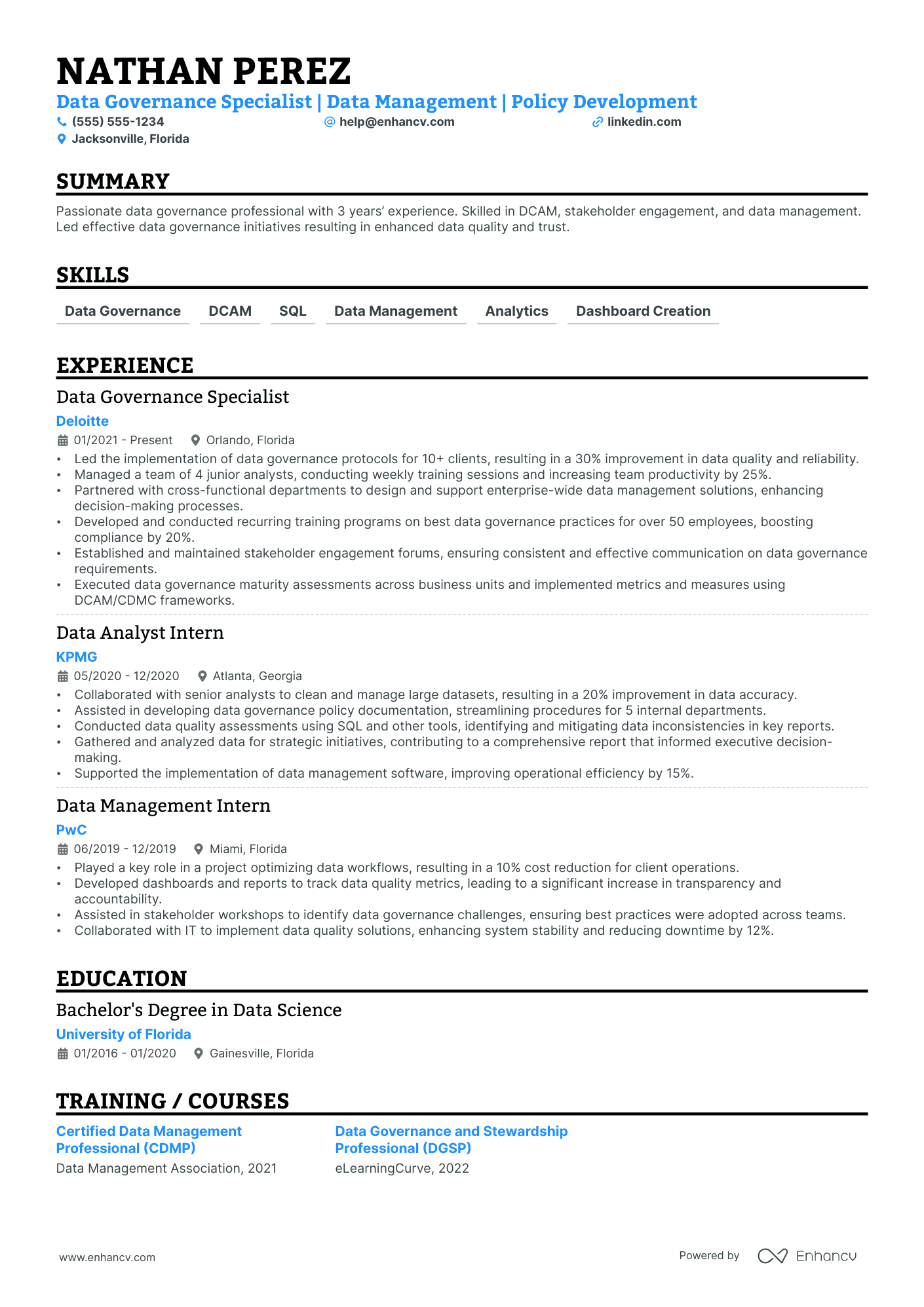 Director of Data Governance Resume Example Resume Example