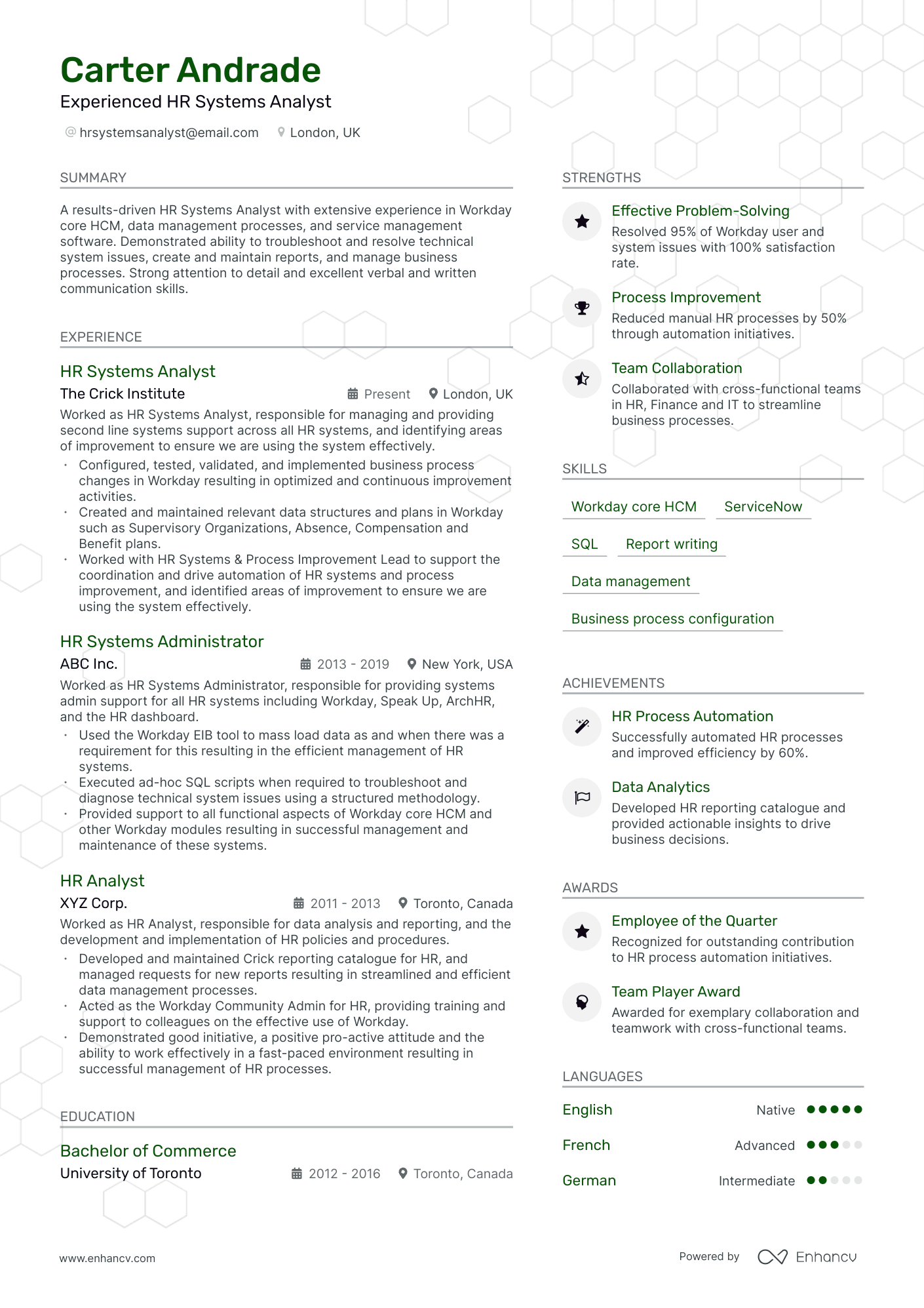 HR Analyst resume example