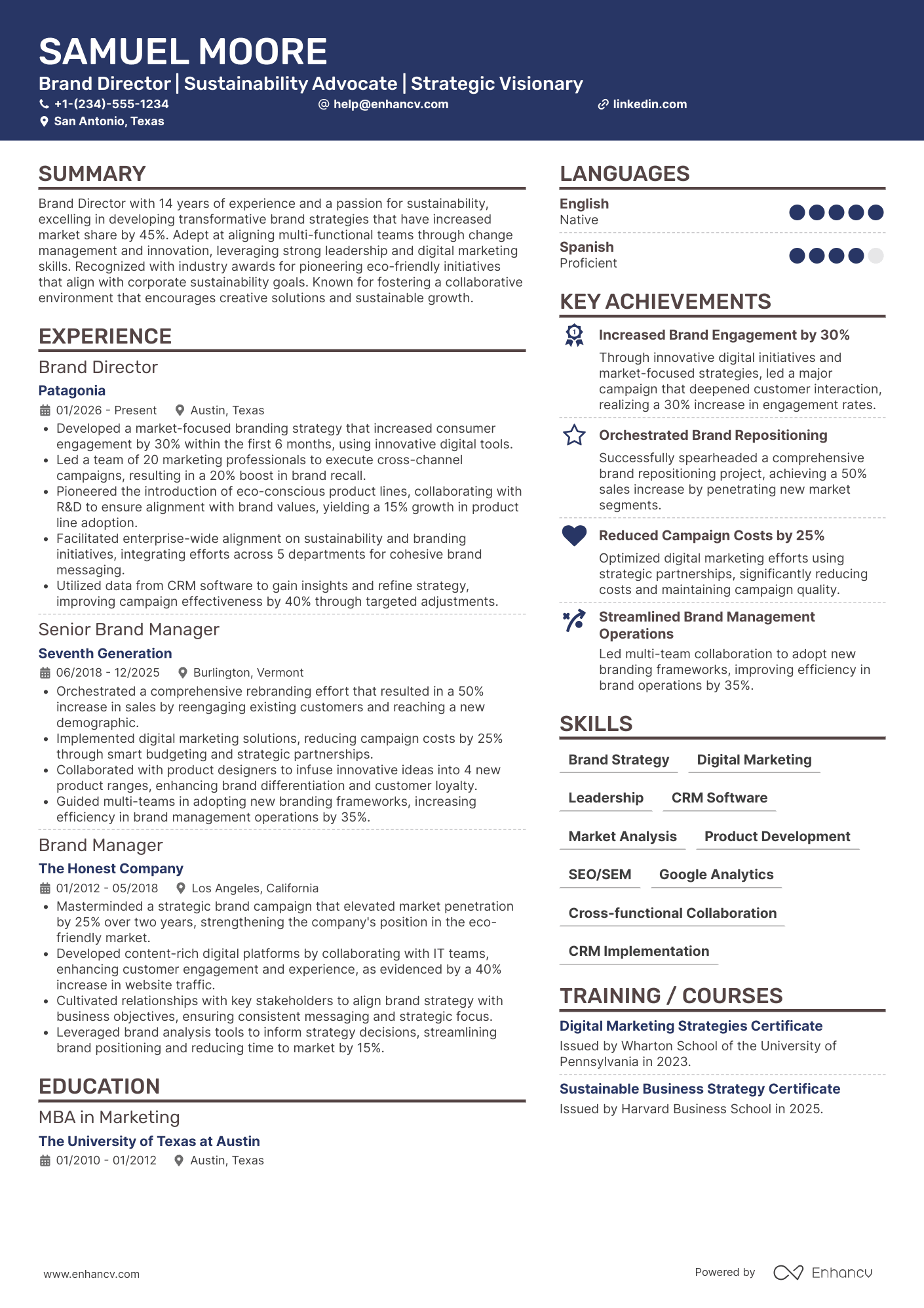 Brand Director resume example