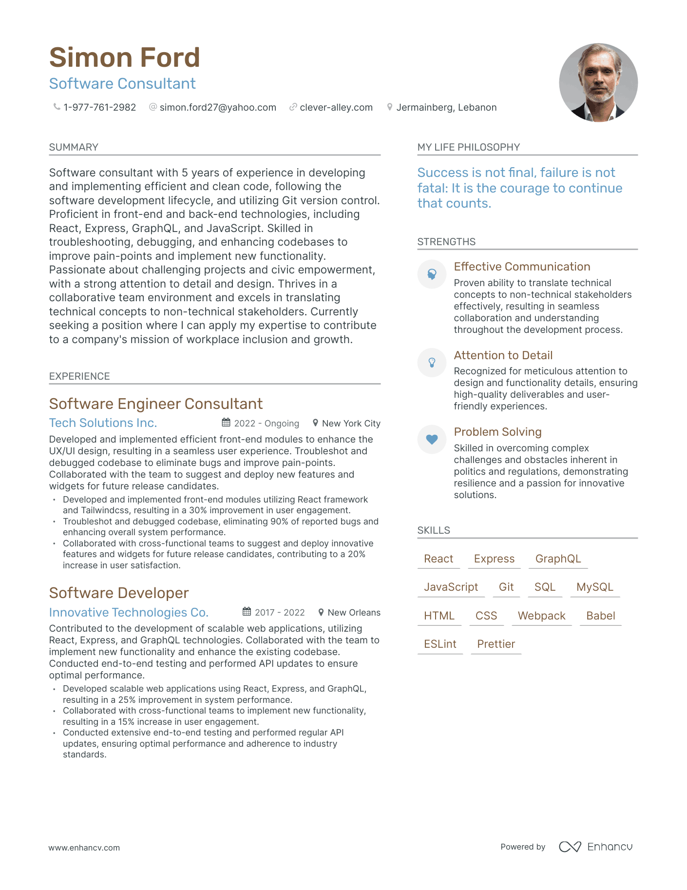 Modern Software Consultant Resume Example