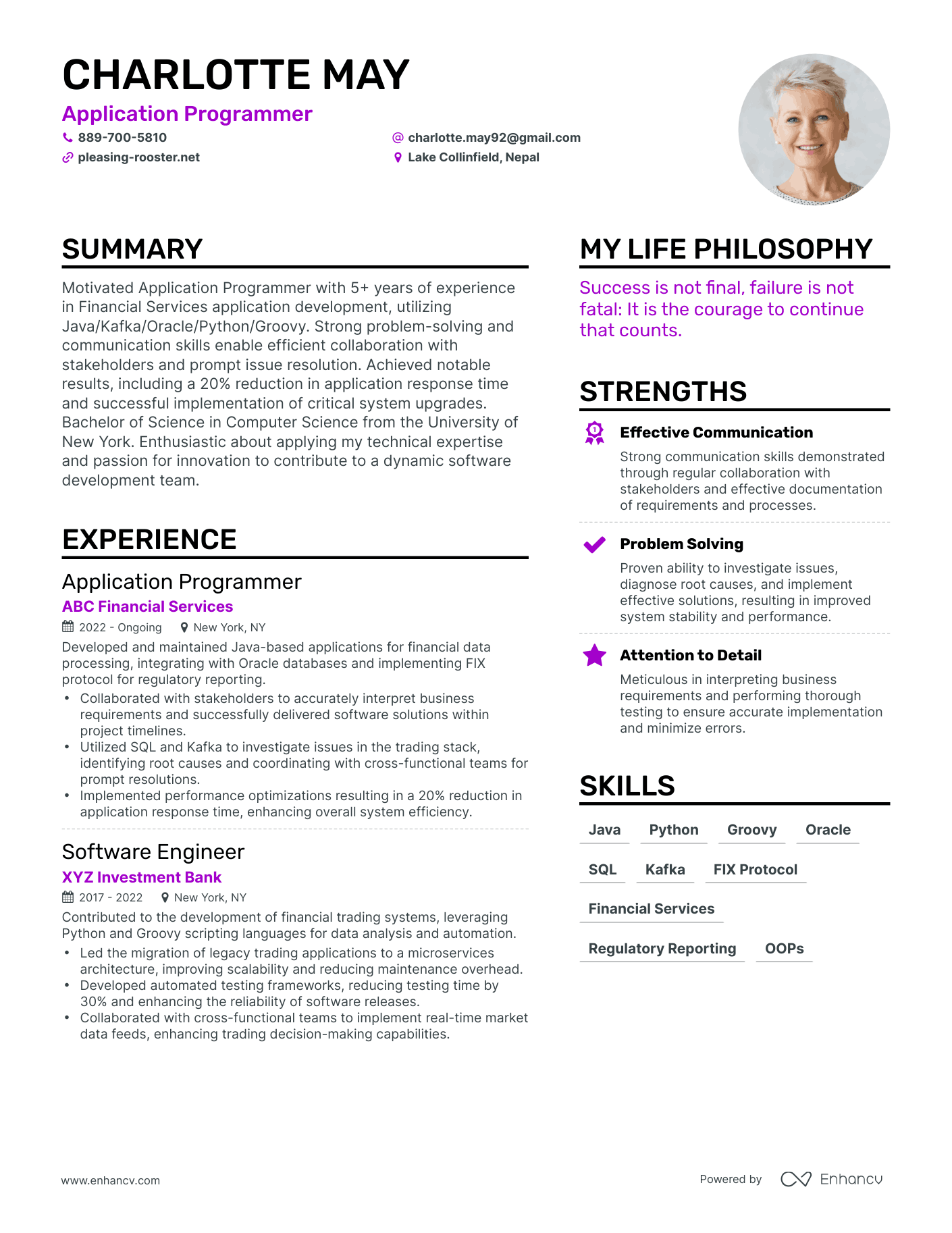 Application Programmer resume example