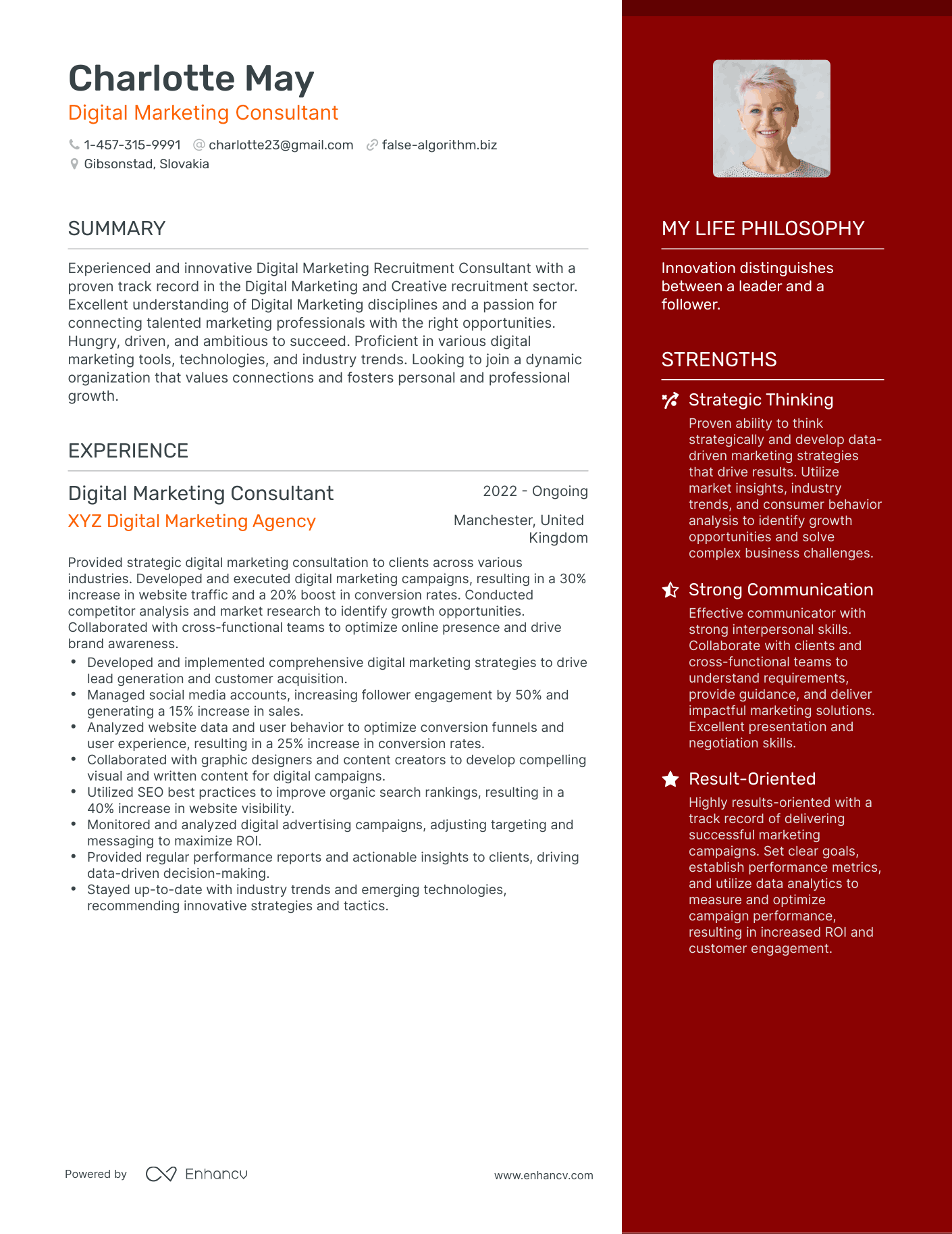 Digital Marketing Consultant resume example