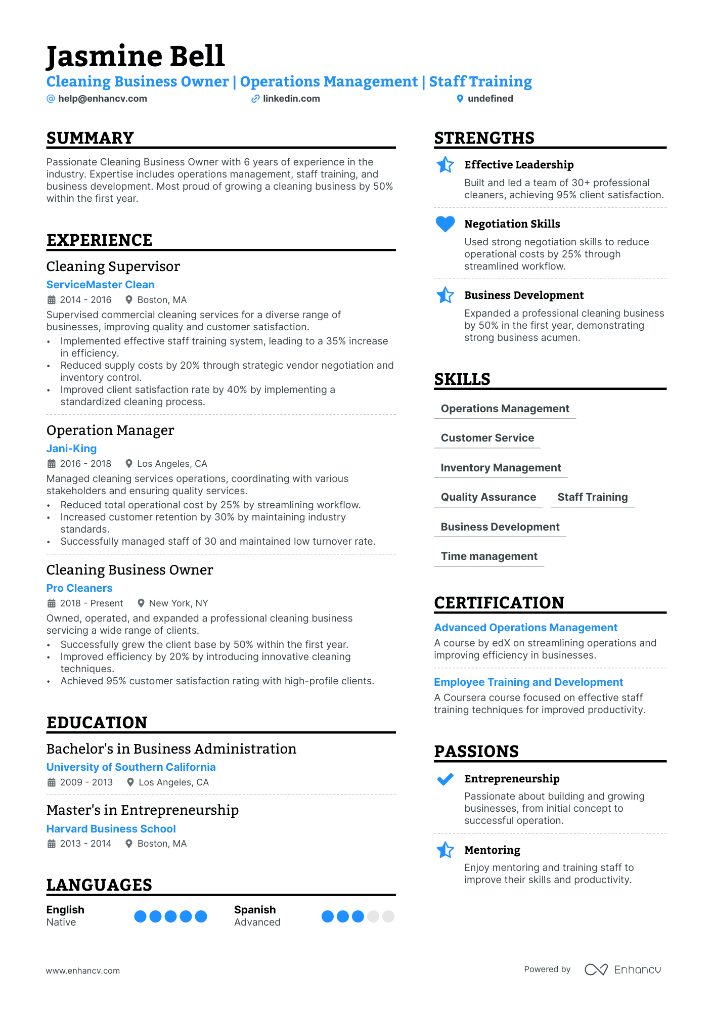 Cleaning Business Owner resume example