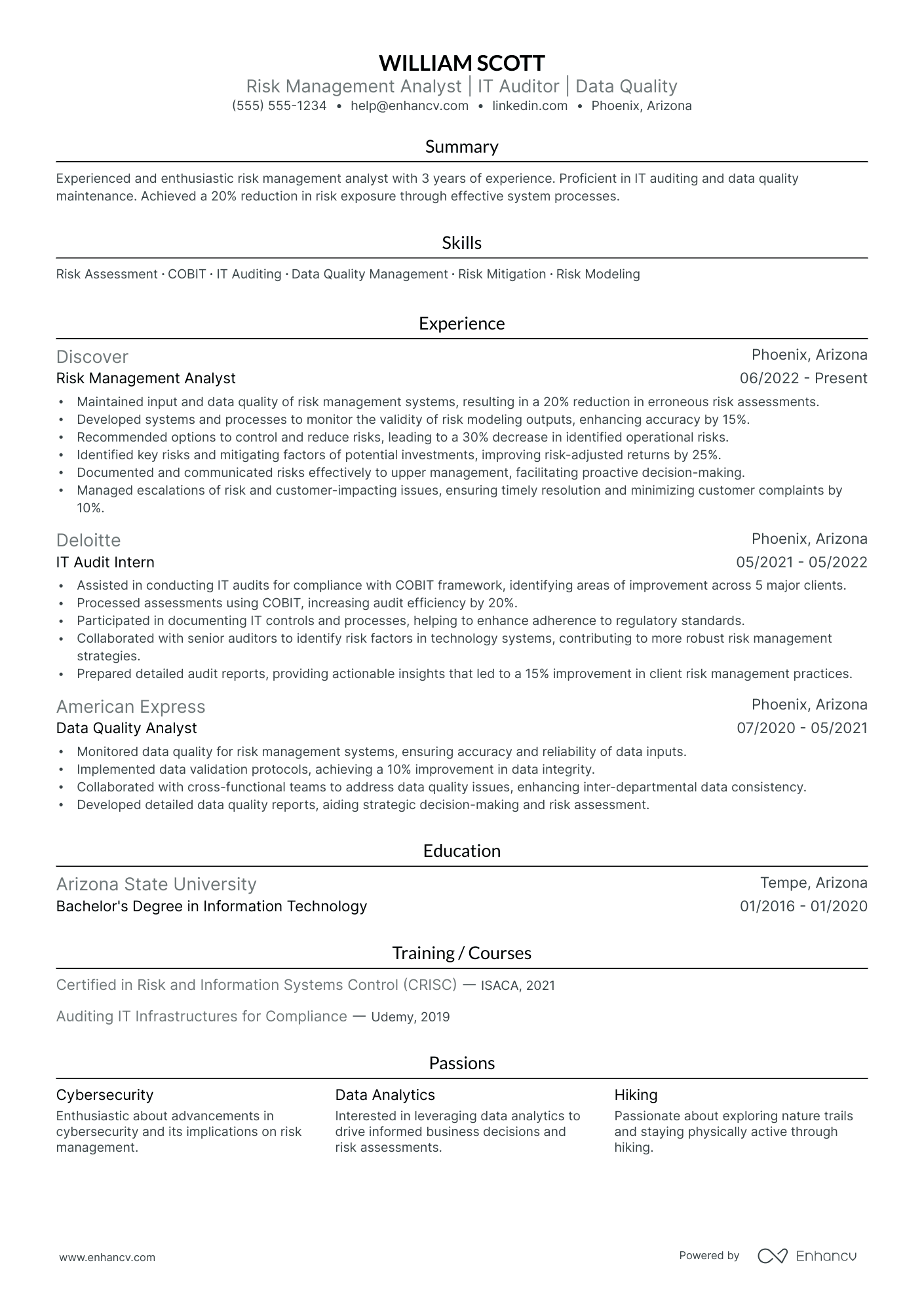 Lead Risk Analyst resume example