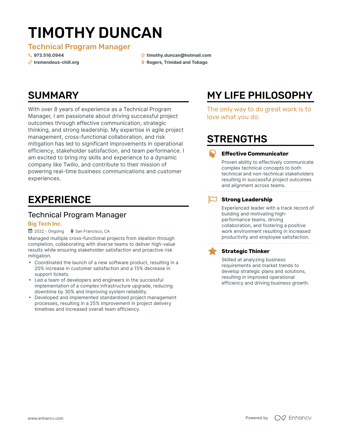 3 Technical Program Manager Resume Examples How To Guide For 2023