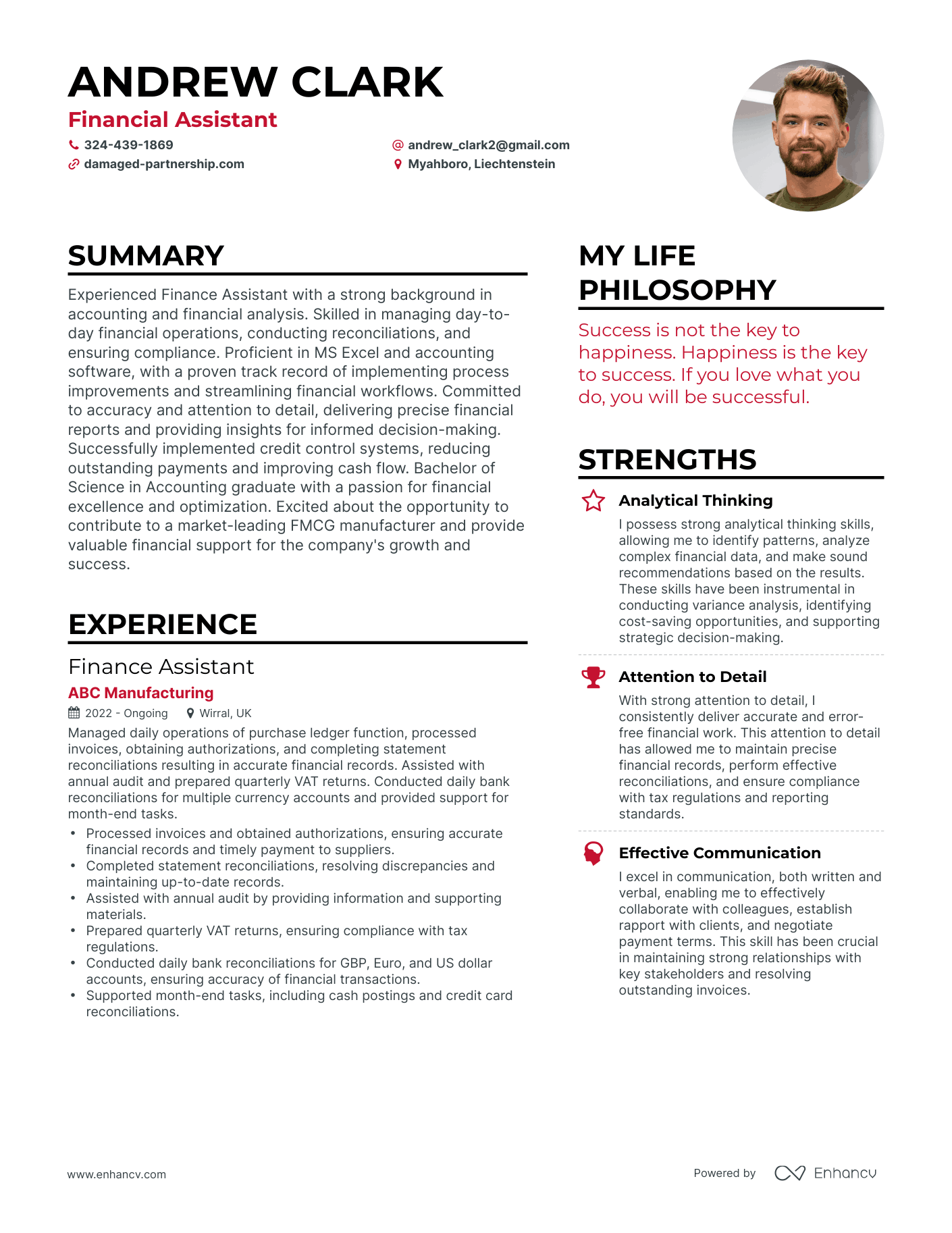 Modern Financial Assistant Resume Example