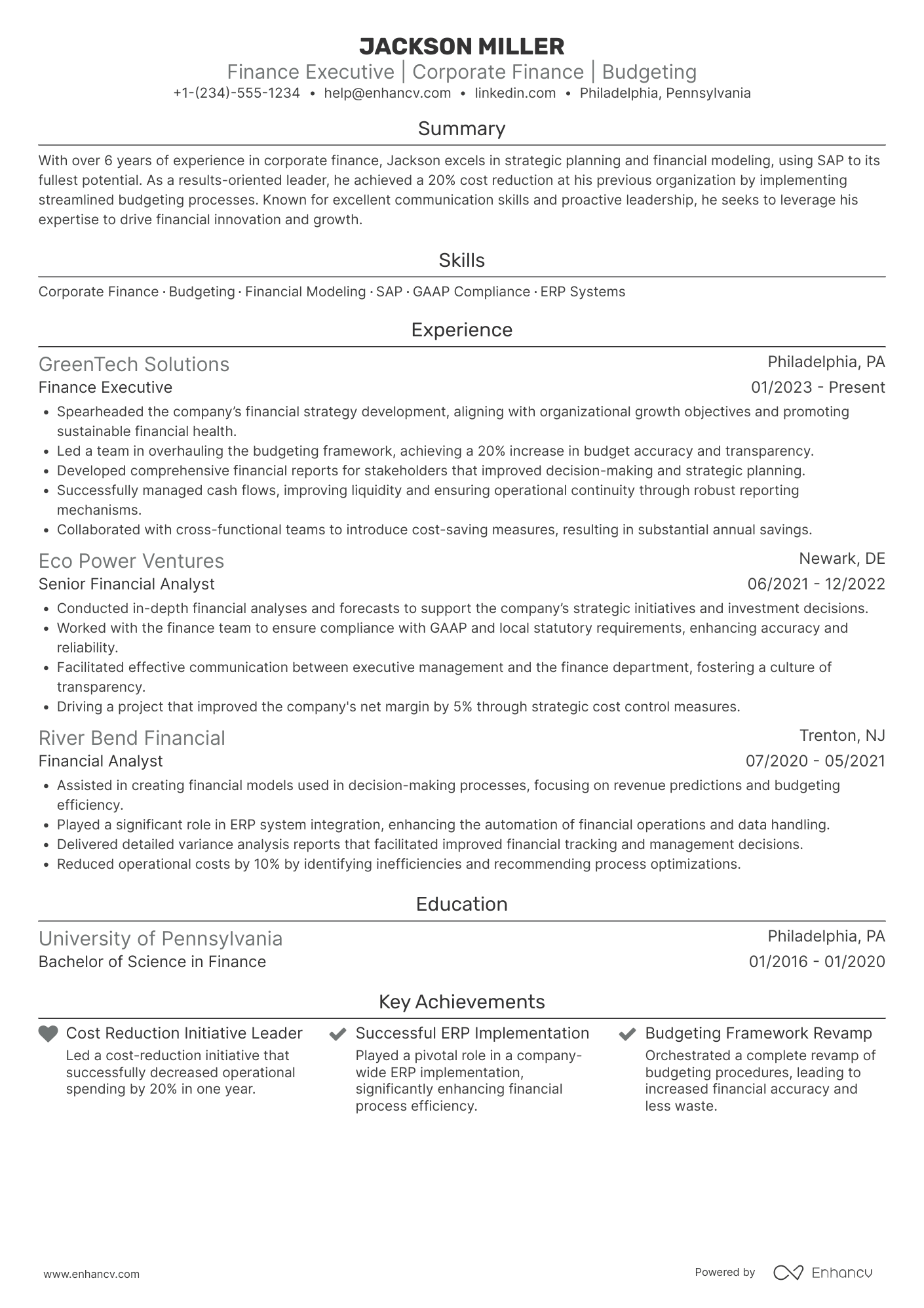 Finance Executive resume example