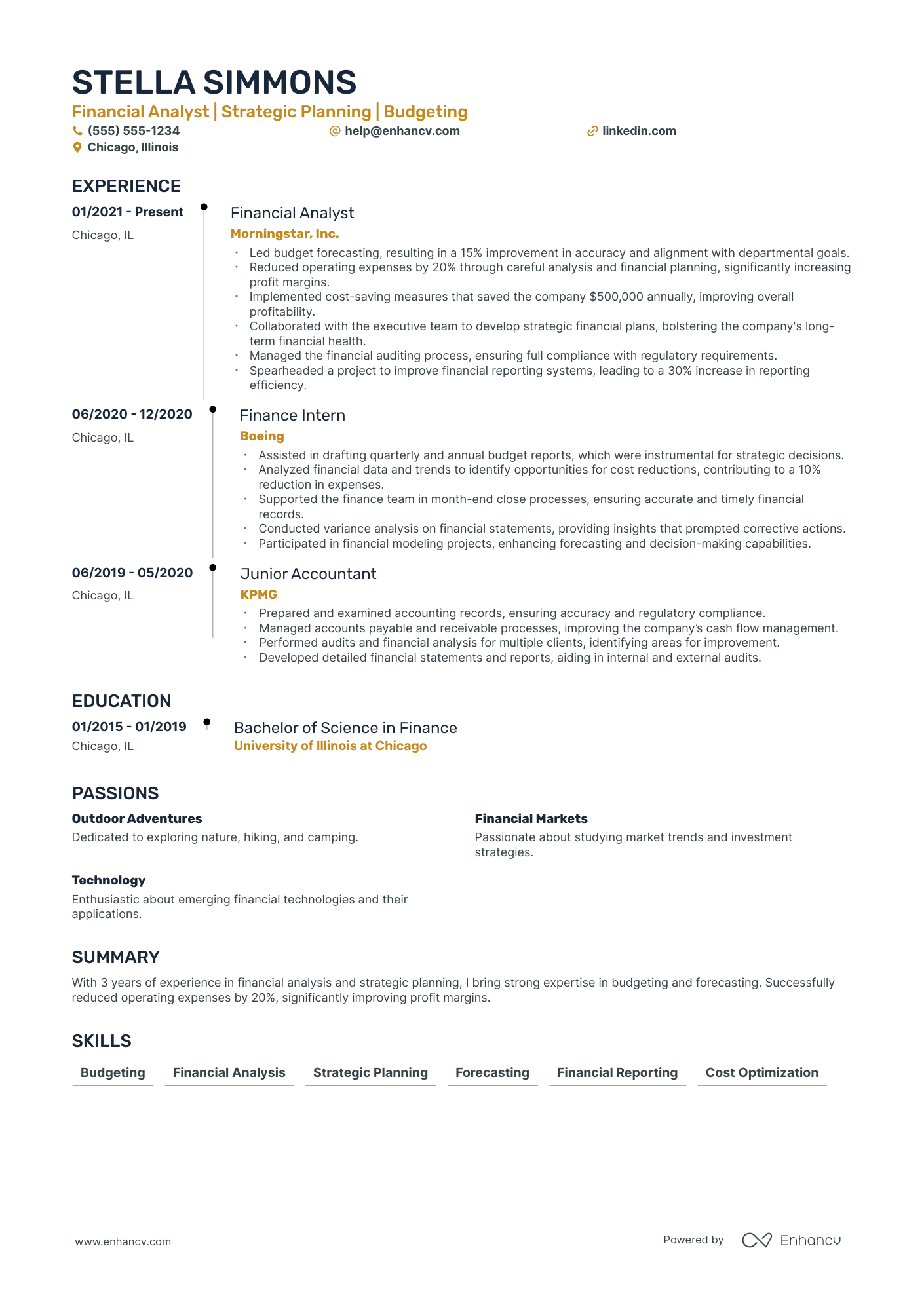 Senior Finance Director Resume Example Resume Example