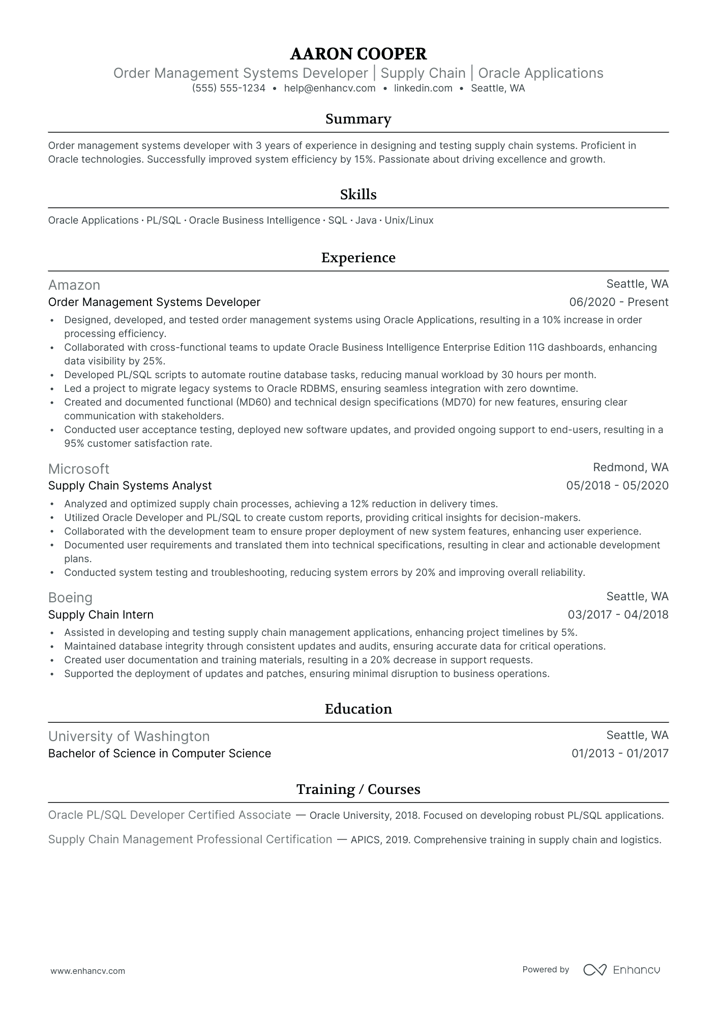 Application Software Developer resume example