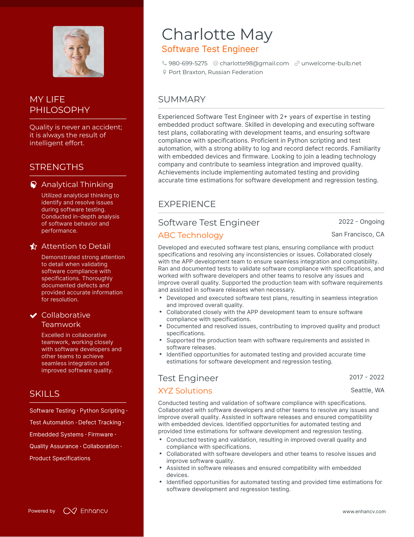 Software Test Engineer resume example