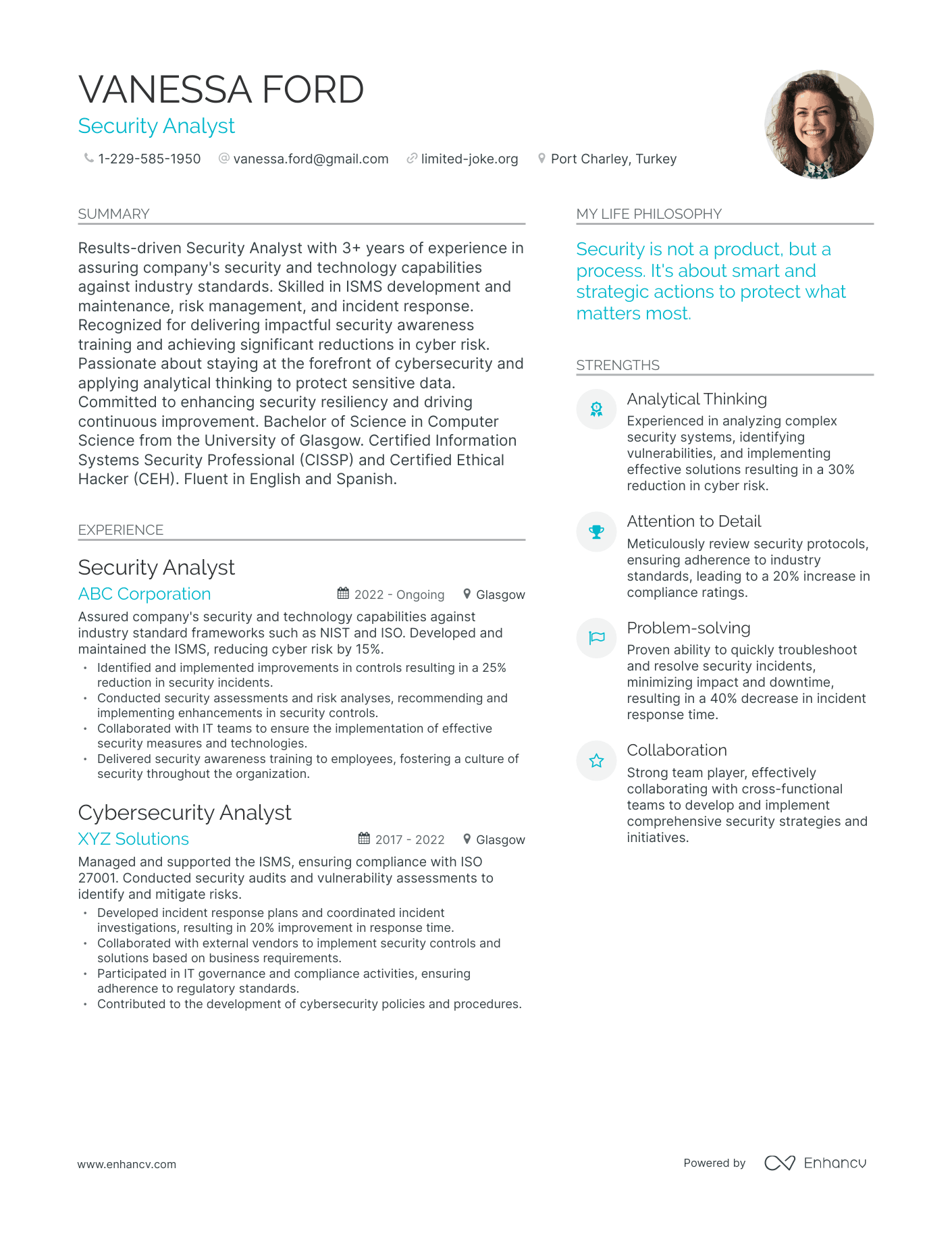 Modern Security Analyst Resume Example