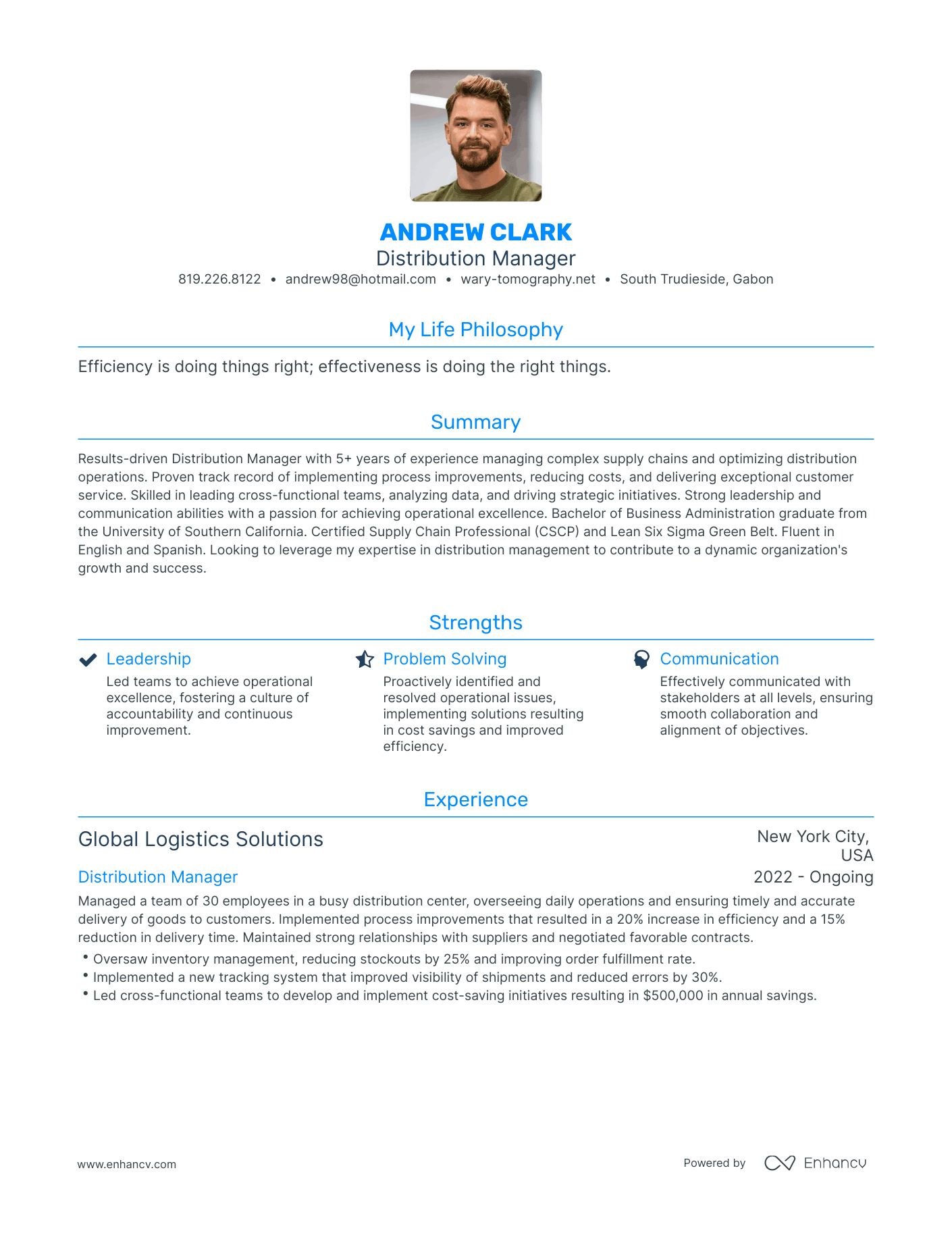 Modern Distribution Manager Resume Example