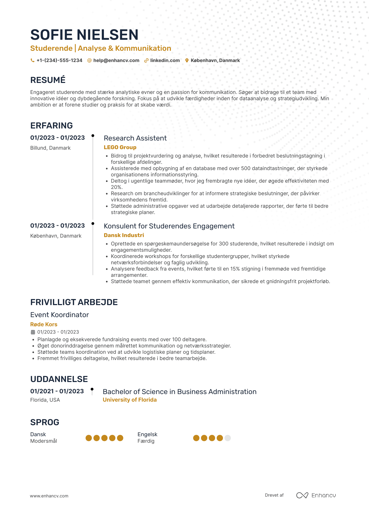 Studerende CV