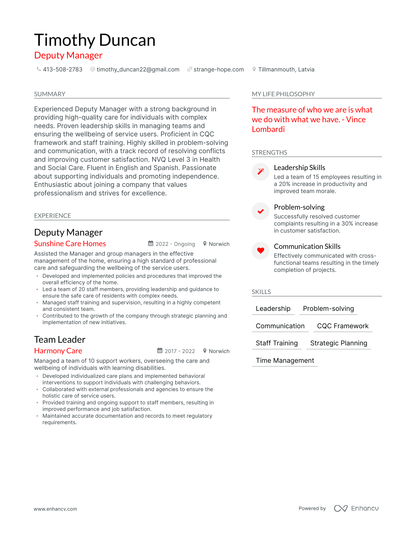 Modern Deputy Manager Resume Example