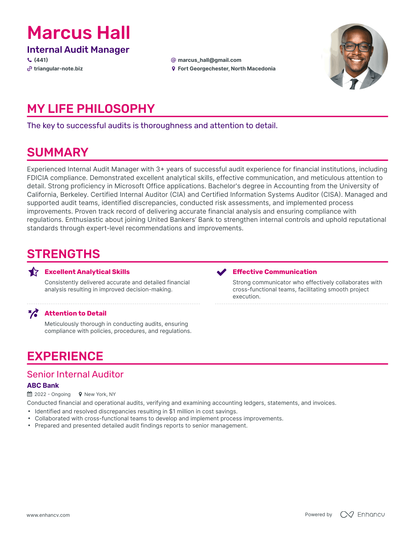 Creative Internal Audit Manager Resume Example