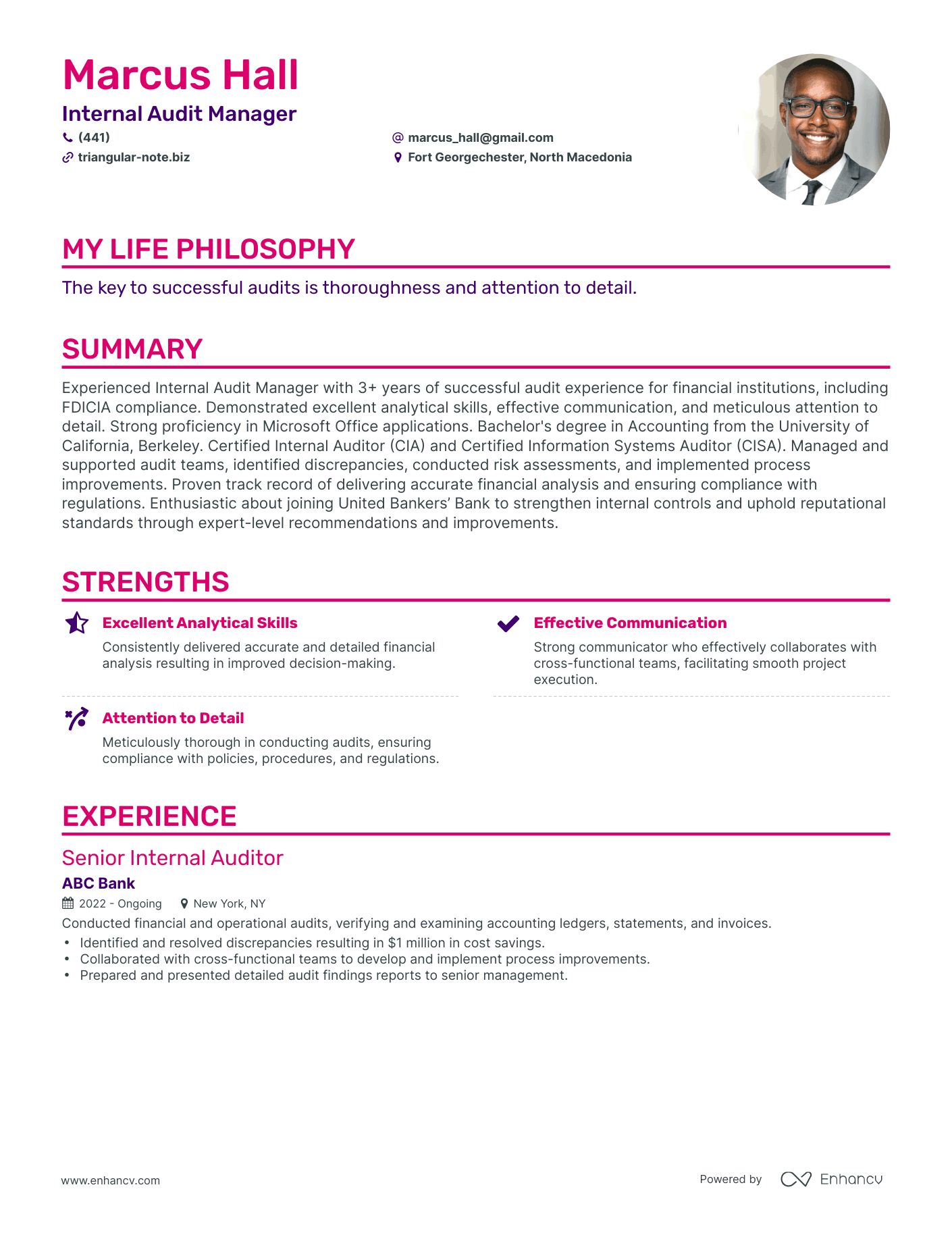 Creative Internal Audit Manager Resume Example Resume Example