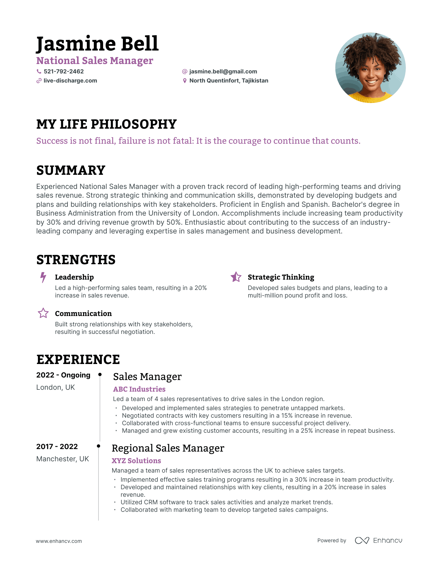 Creative National Sales Manager Resume Example