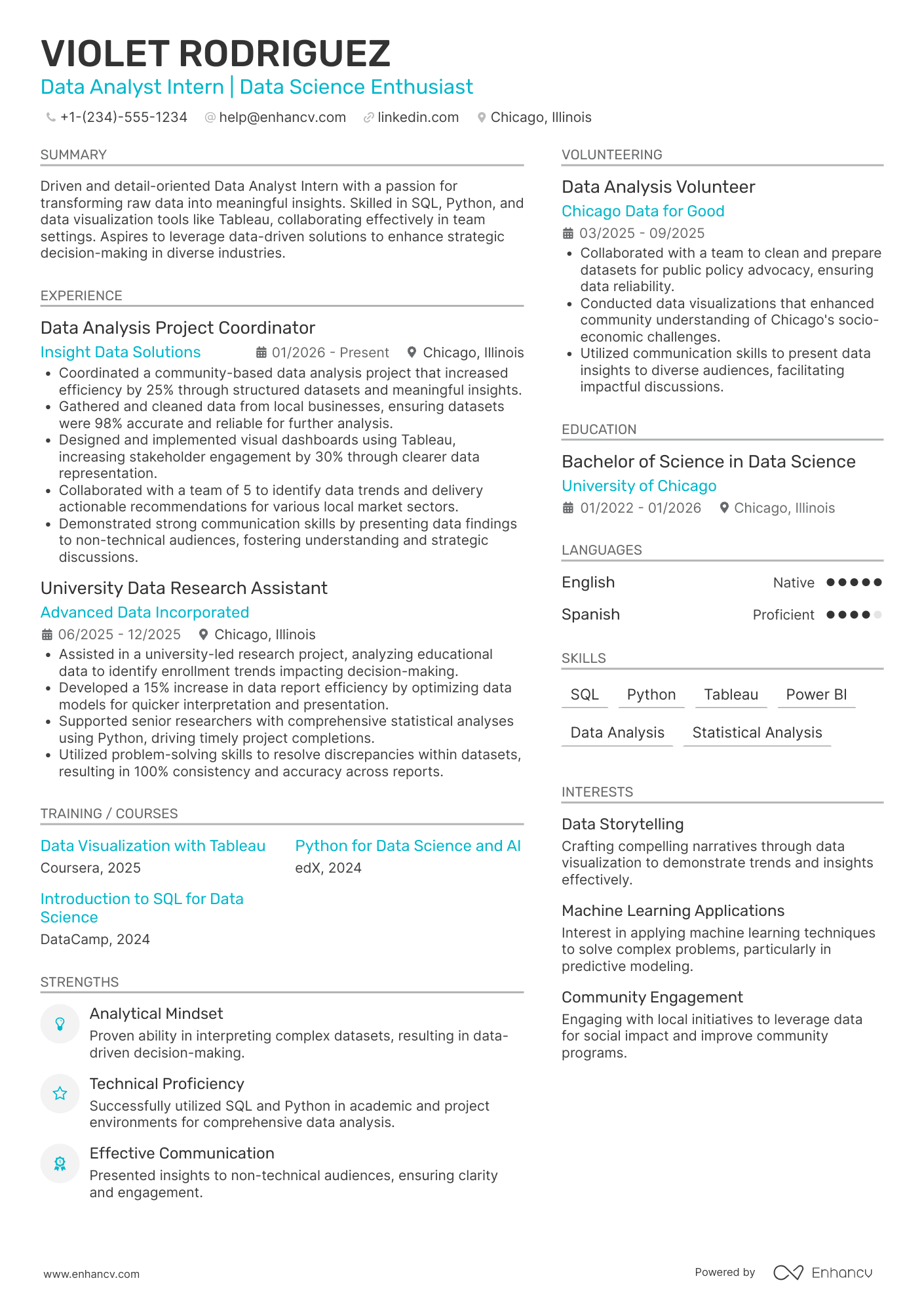 Data Analyst Intern resume example