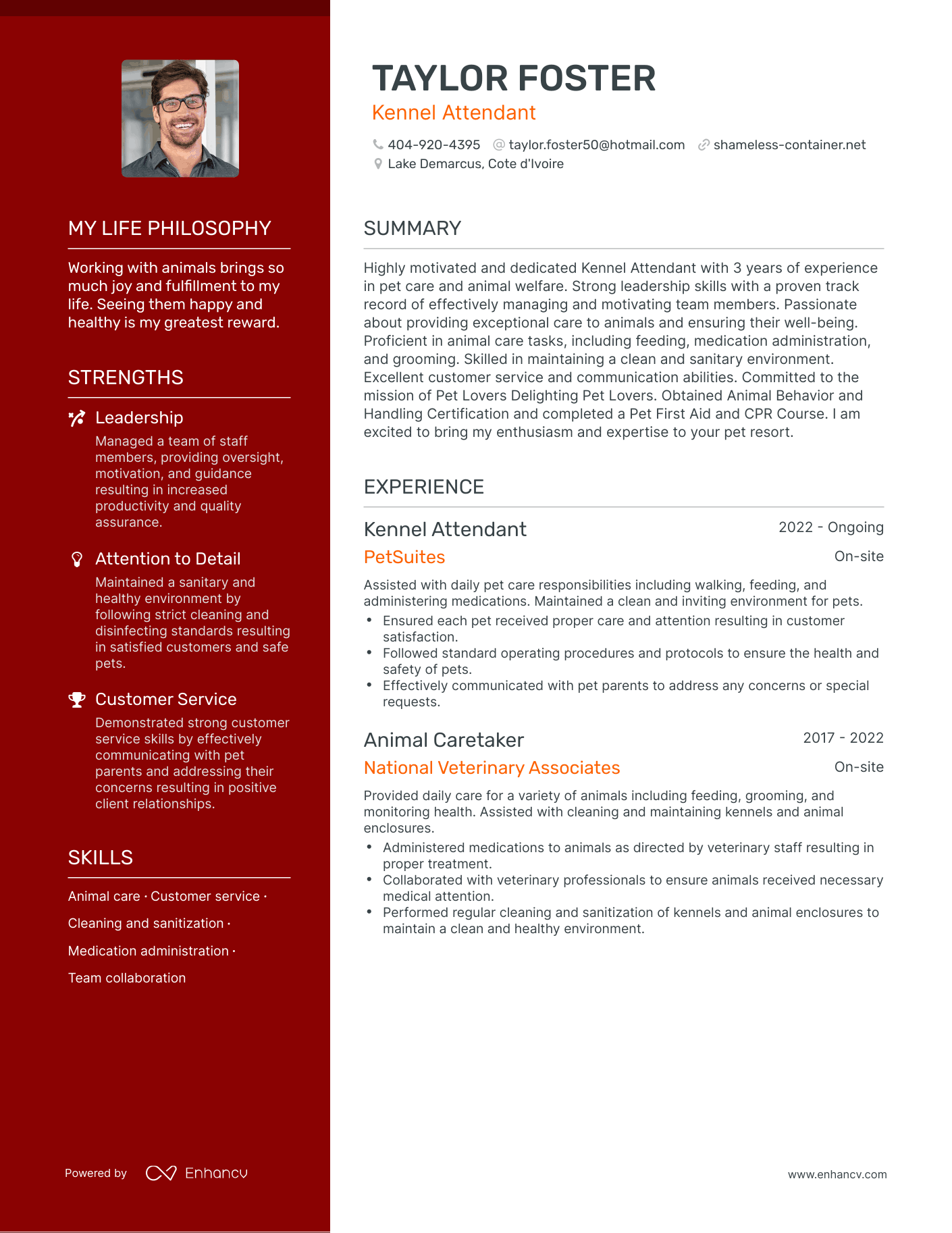 Creative Kennel Attendant Resume Example