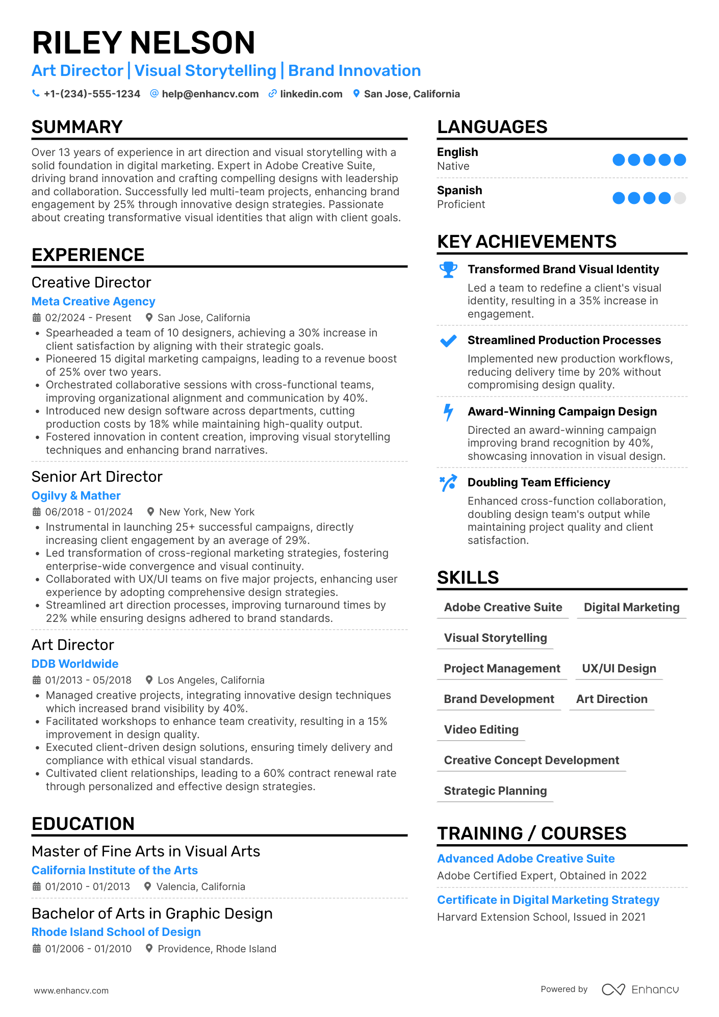 Art Director resume example