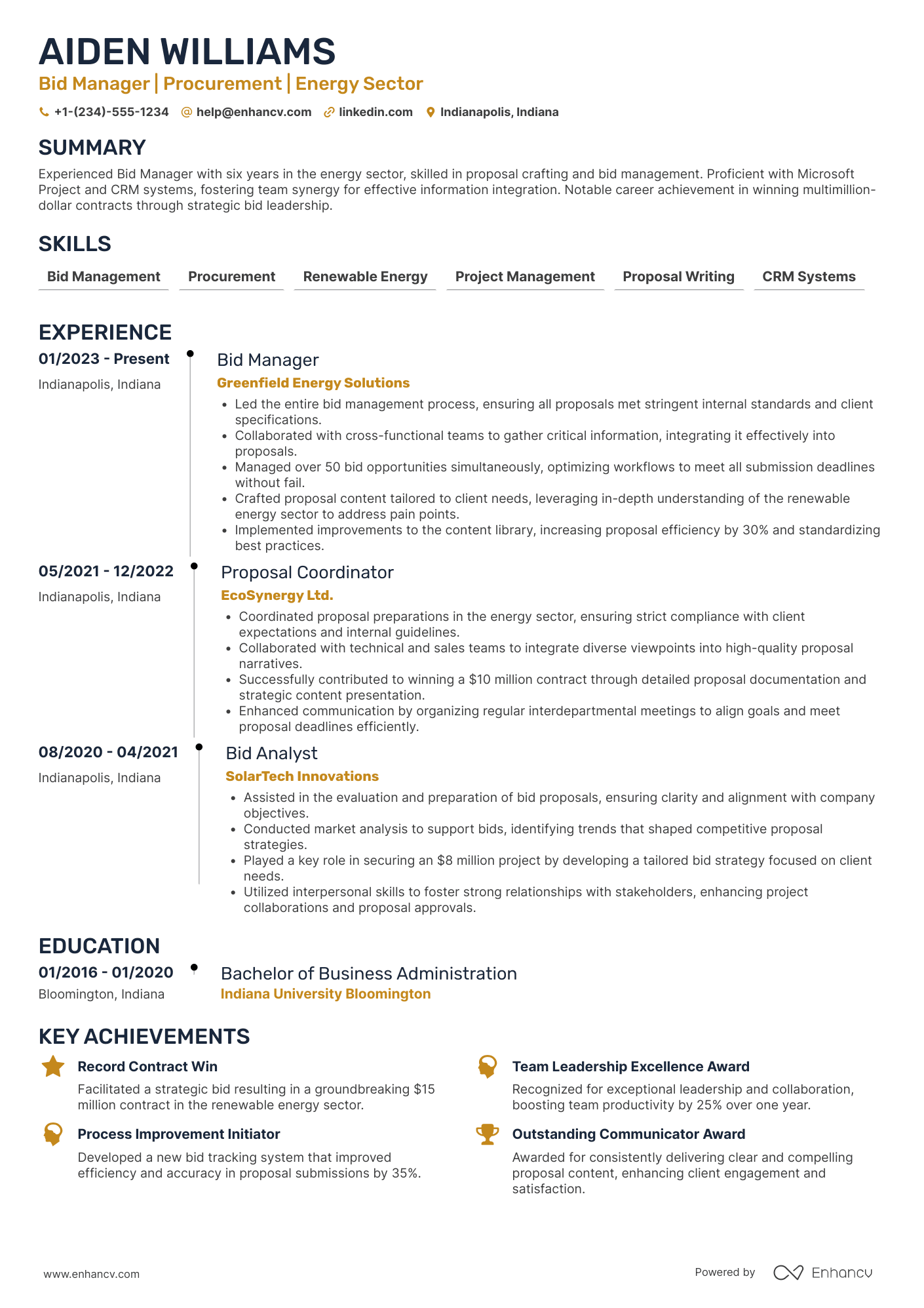 Bid Manager resume example